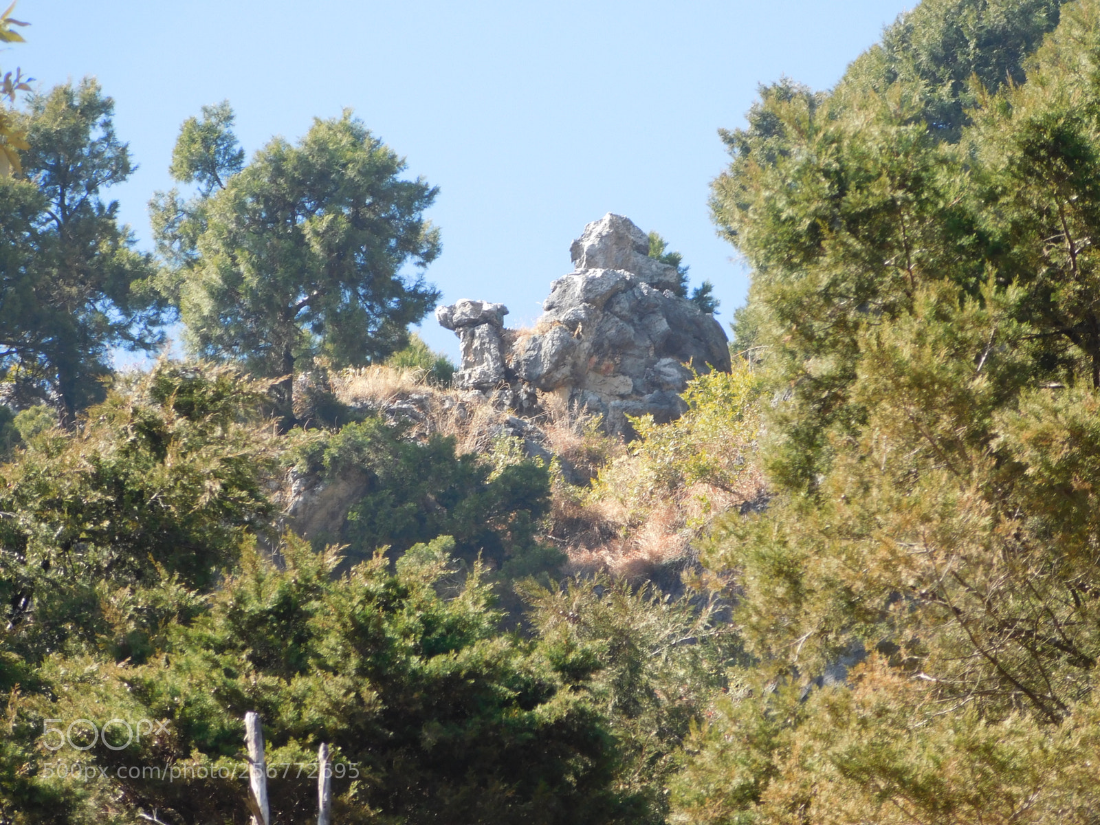 Nikon Coolpix L840 sample photo. Camel rock photography