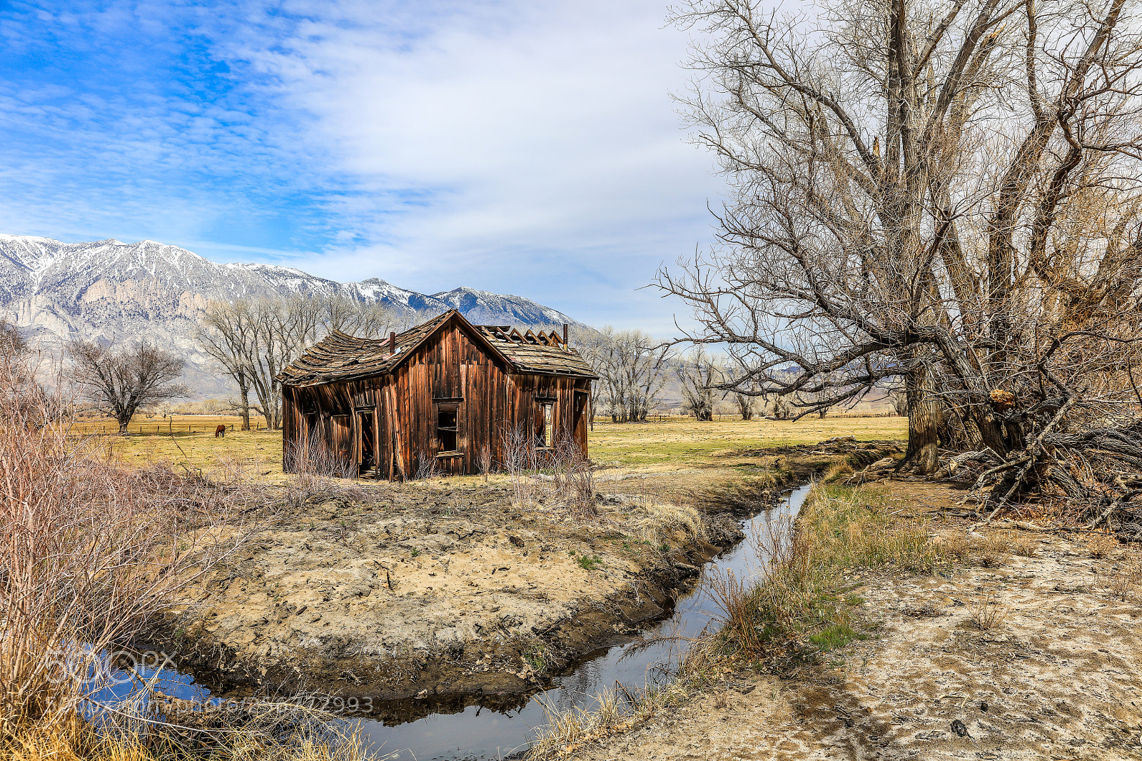 Canon EOS 5DS R sample photo. Cabin by the stream photography