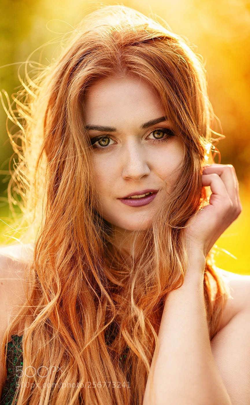 Canon EOS 5D Mark II sample photo. :) photography