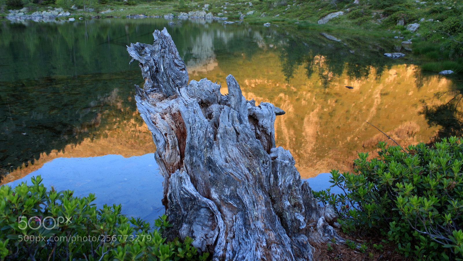 Canon EOS 650D (EOS Rebel T4i / EOS Kiss X6i) sample photo. Cengello photography