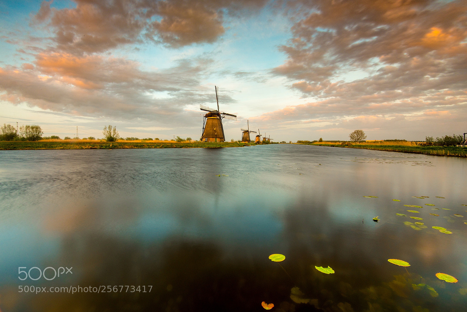 Nikon D610 sample photo. Reflection photography