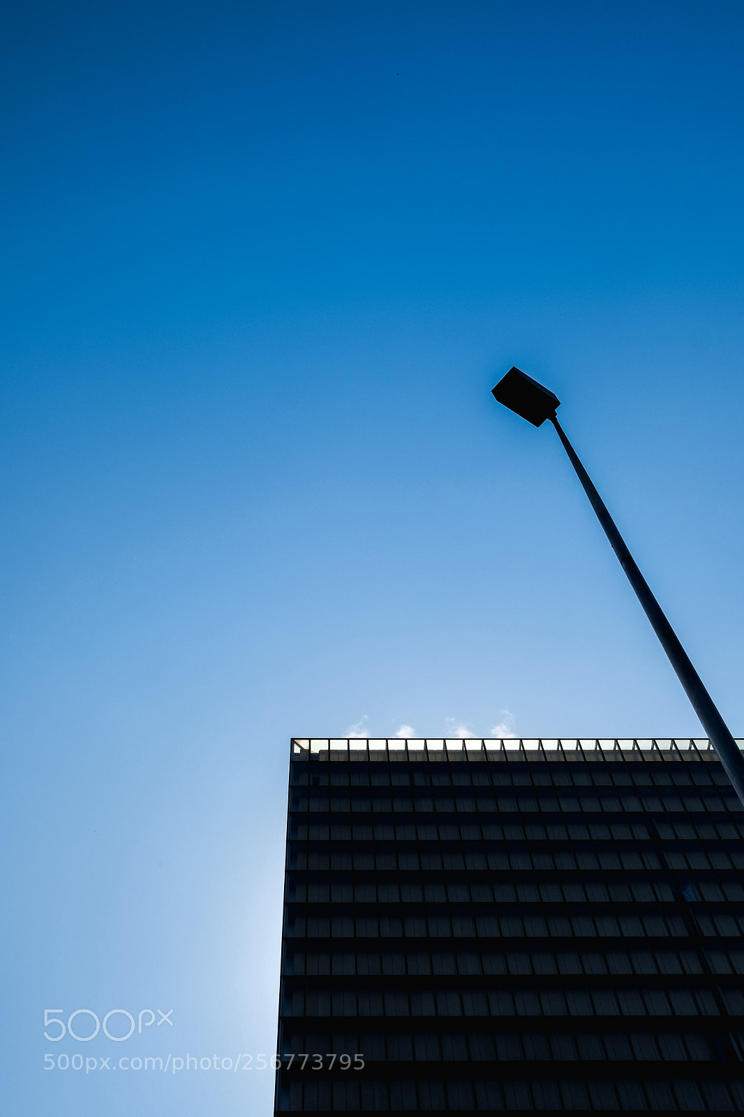 Fujifilm X-T20 sample photo. Bnf photography