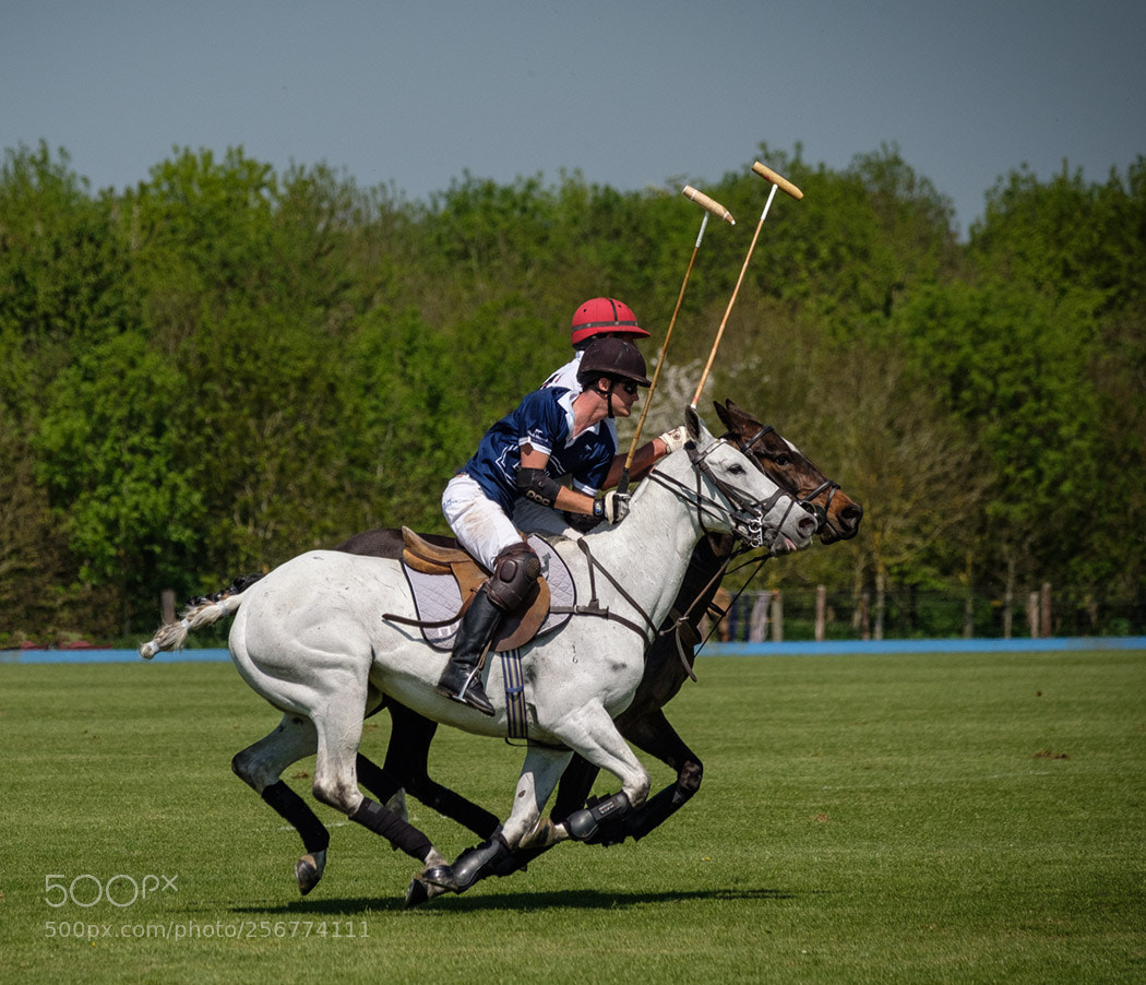Fujifilm X-T2 sample photo. Polo 2230 photography