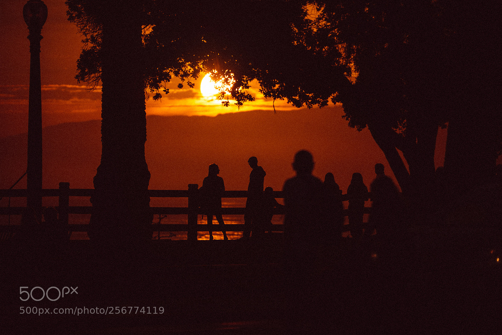 Sony a7S sample photo. Santa monica lovers dream photography