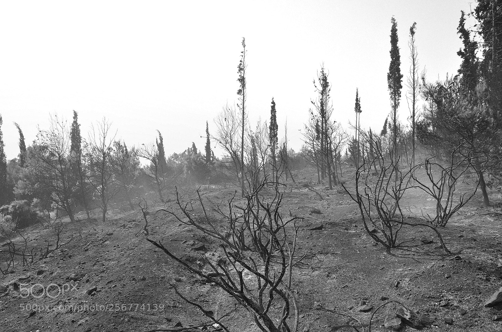 Nikon D5100 sample photo. Dystopia photography