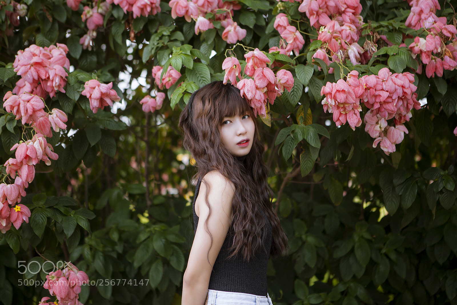 Canon EOS 5D Mark II sample photo. Img photography