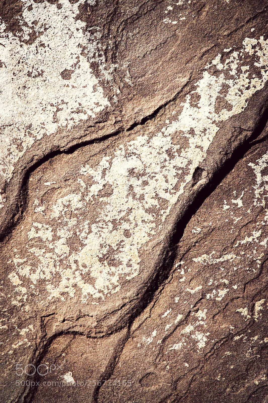 Nikon D5500 sample photo. Old stone pattern with photography