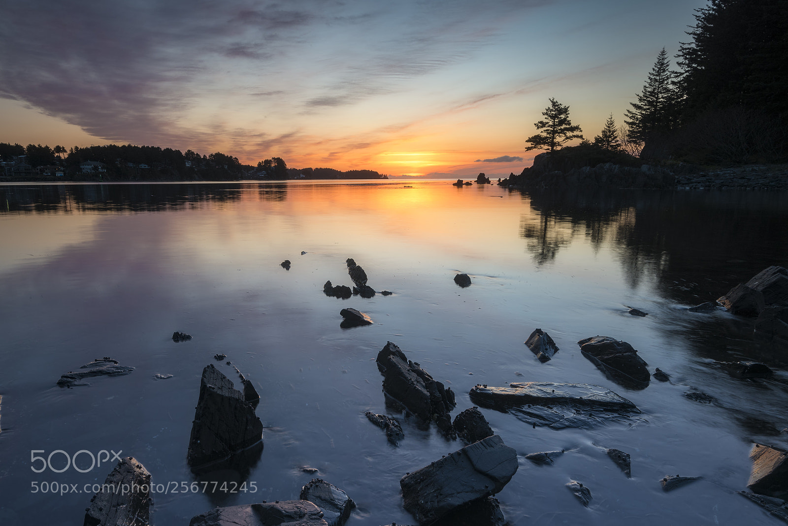 Nikon D750 sample photo. Spring sunrise photography