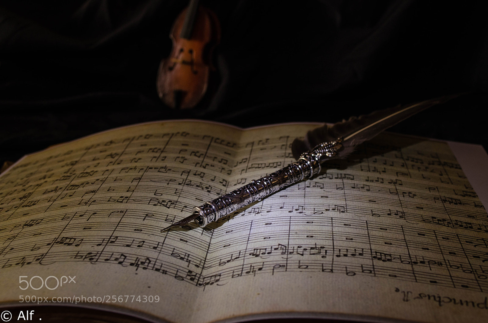 Nikon D5100 sample photo. Tell it with music photography