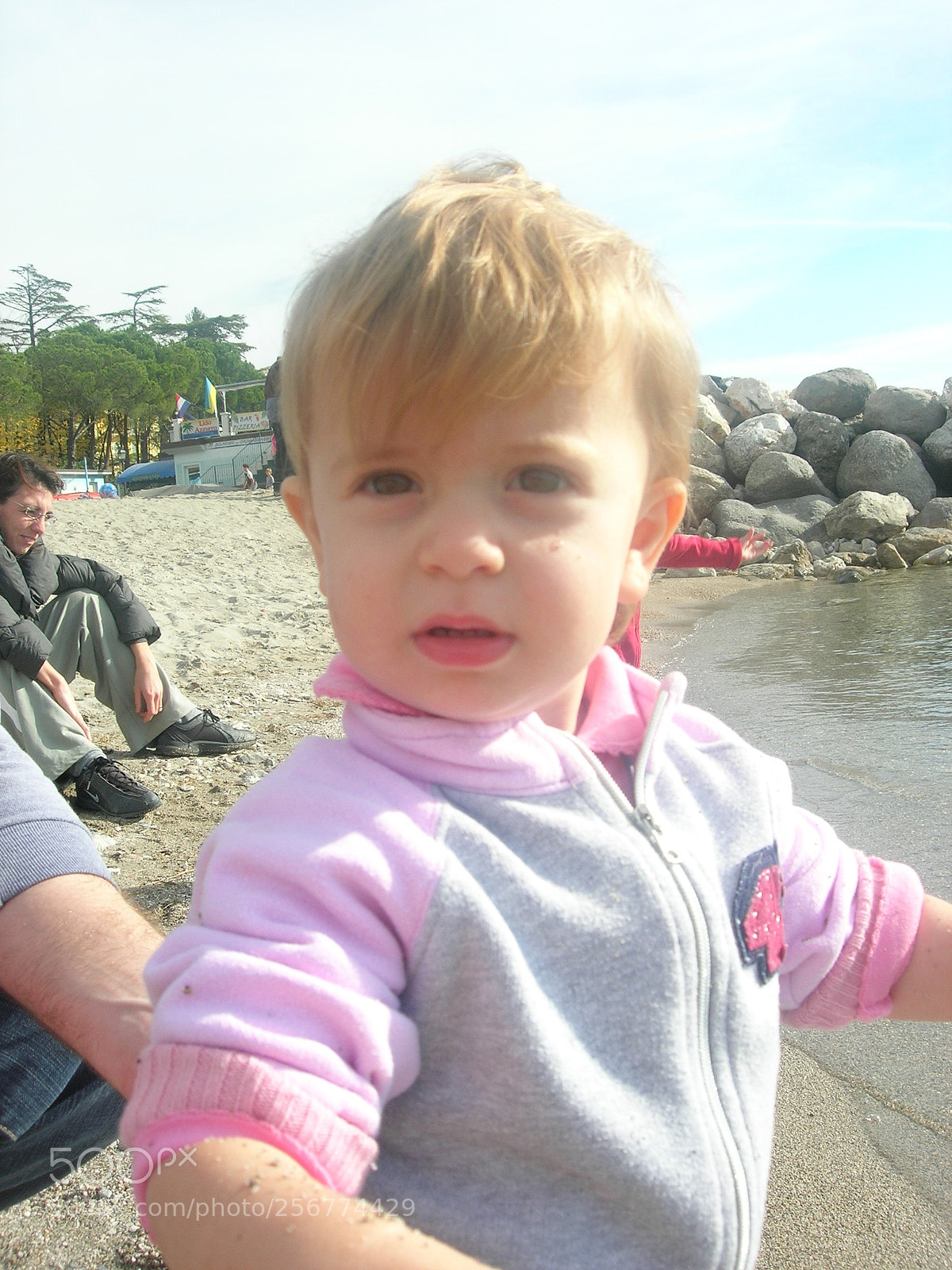 Nikon E5900 sample photo. Dscn photography