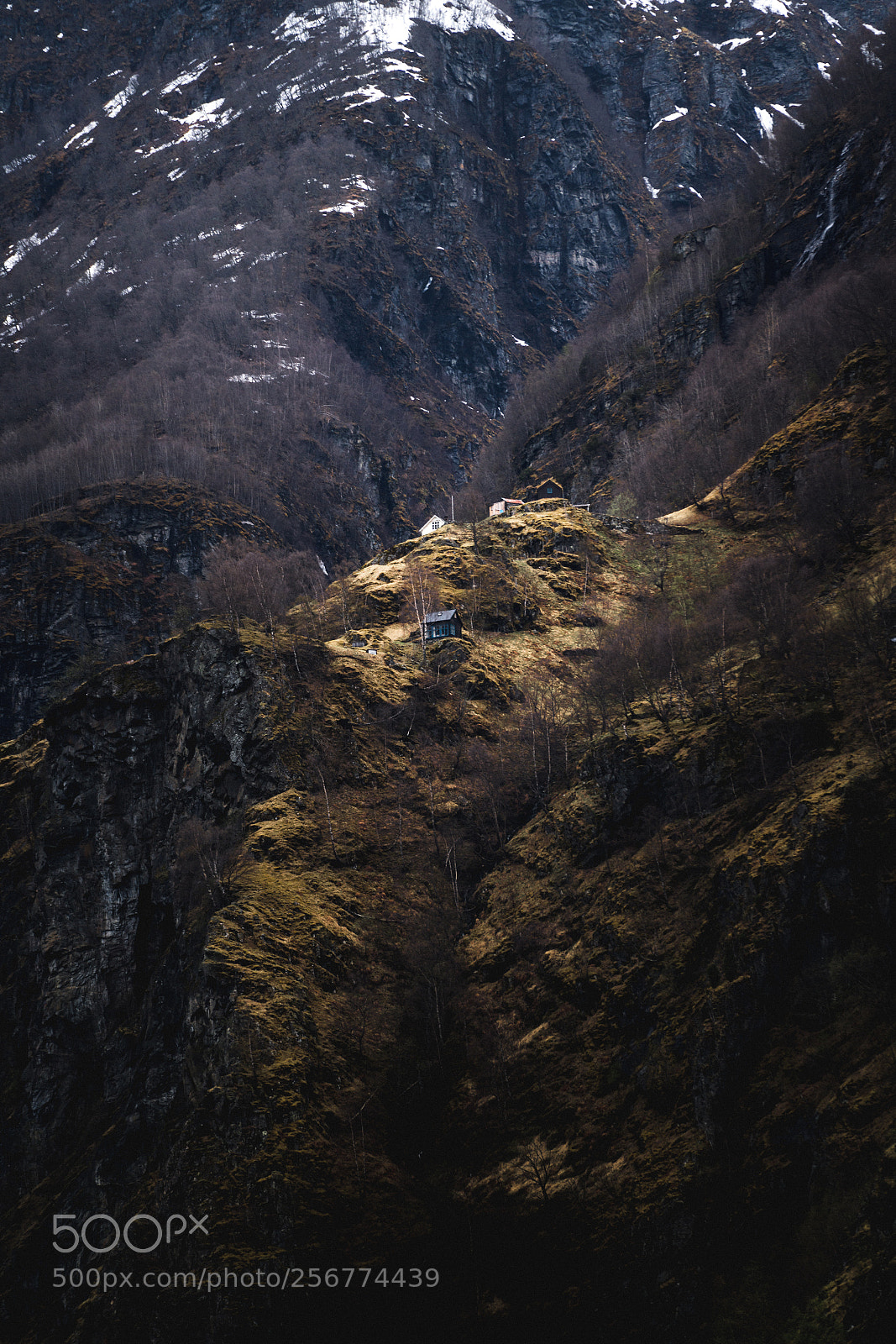 Sony a7R III sample photo. 6-07346-2.jpg photography