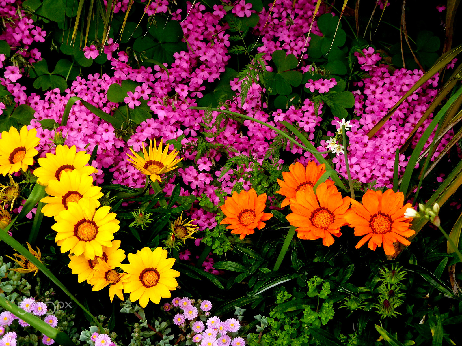 Nikon Coolpix S7000 sample photo. Natural frontier photography
