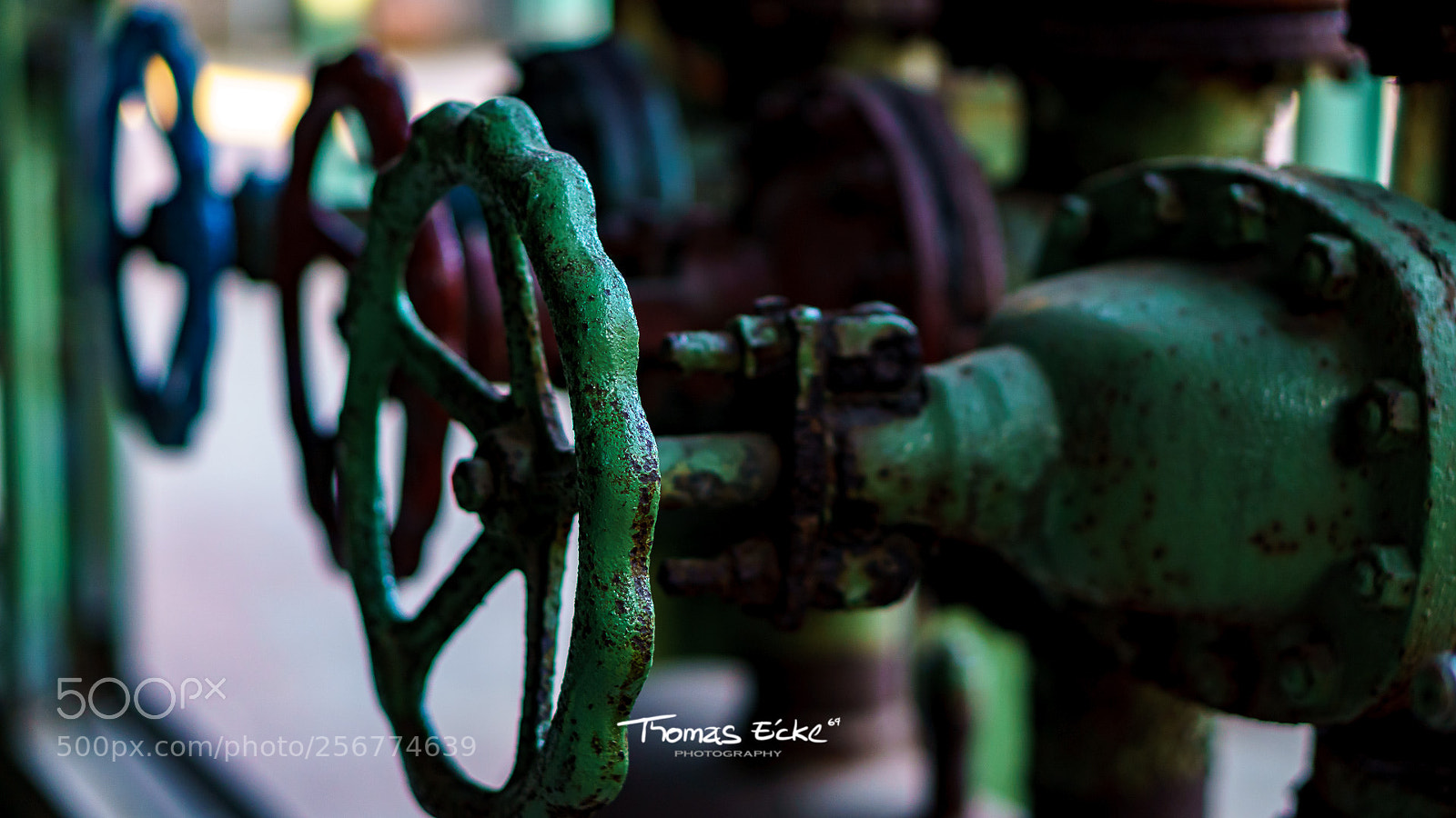 Sony a6000 sample photo. Dsc00938-2.jpg photography