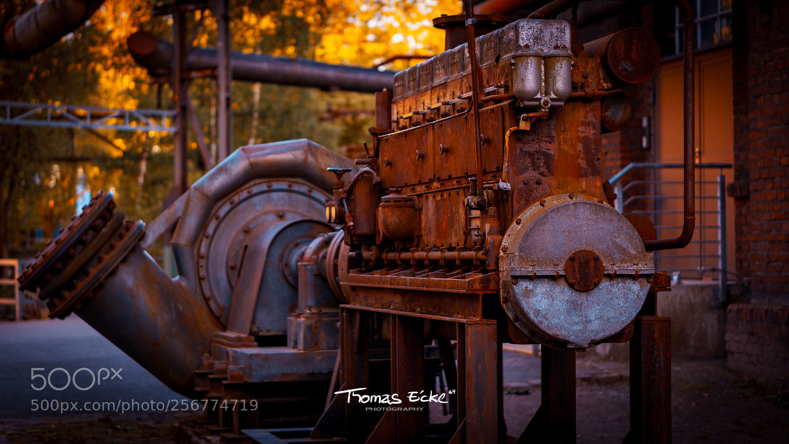 Sony a6000 sample photo. Dsc photography