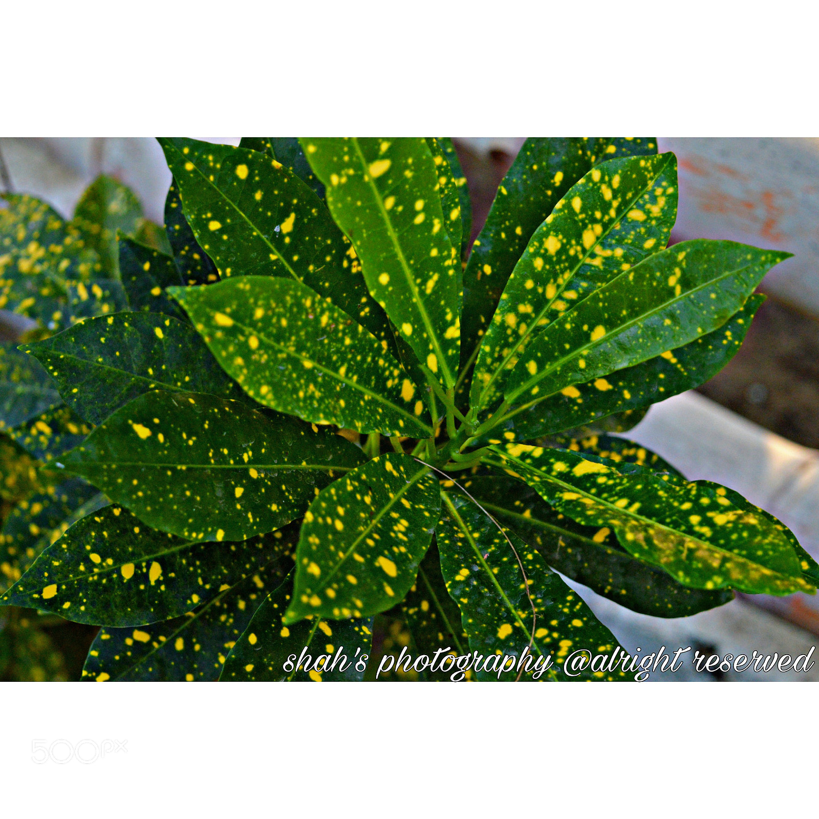 Nikon D3200 sample photo. Untitled photography