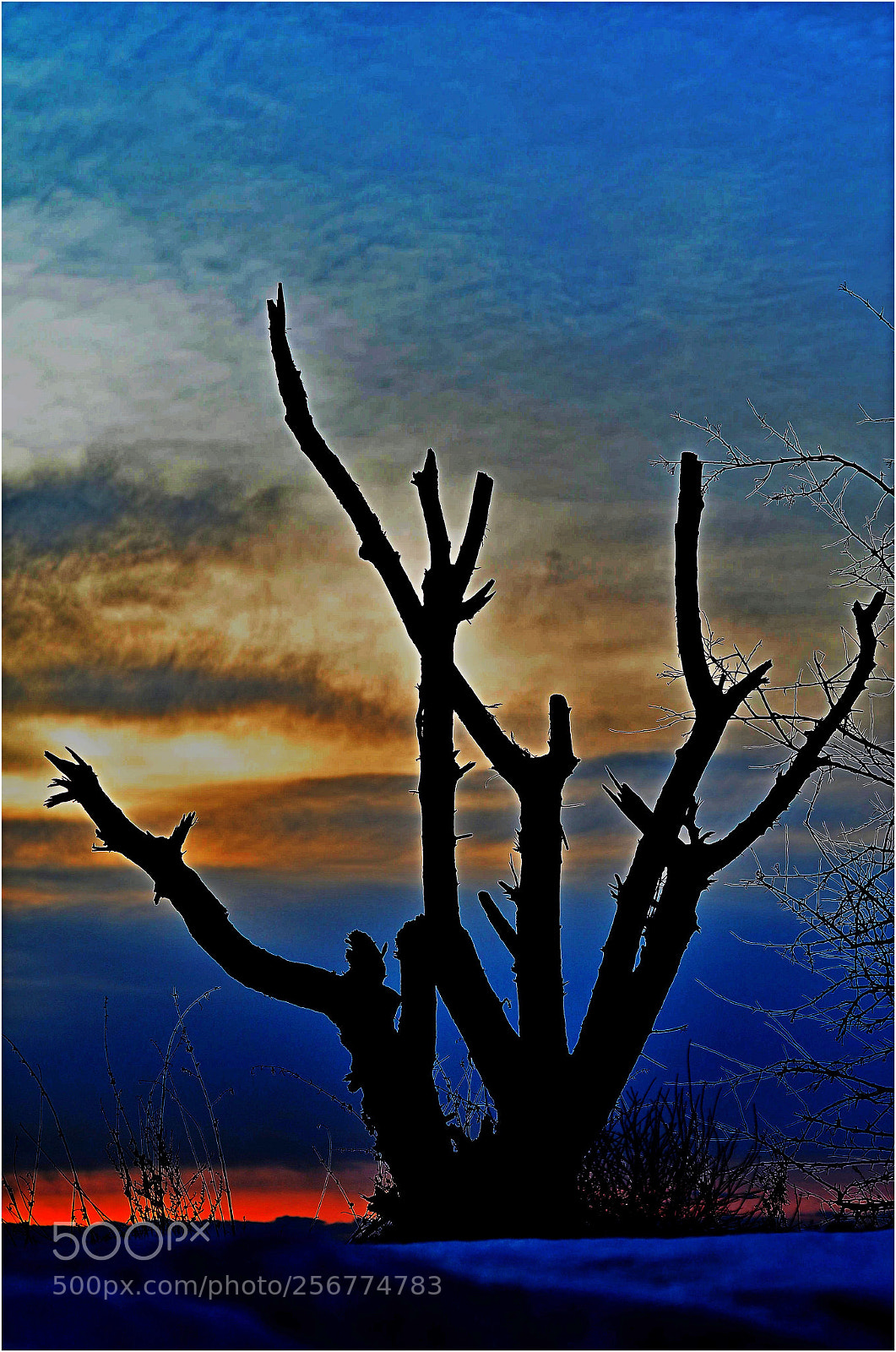 Nikon D7000 sample photo. Excess photography