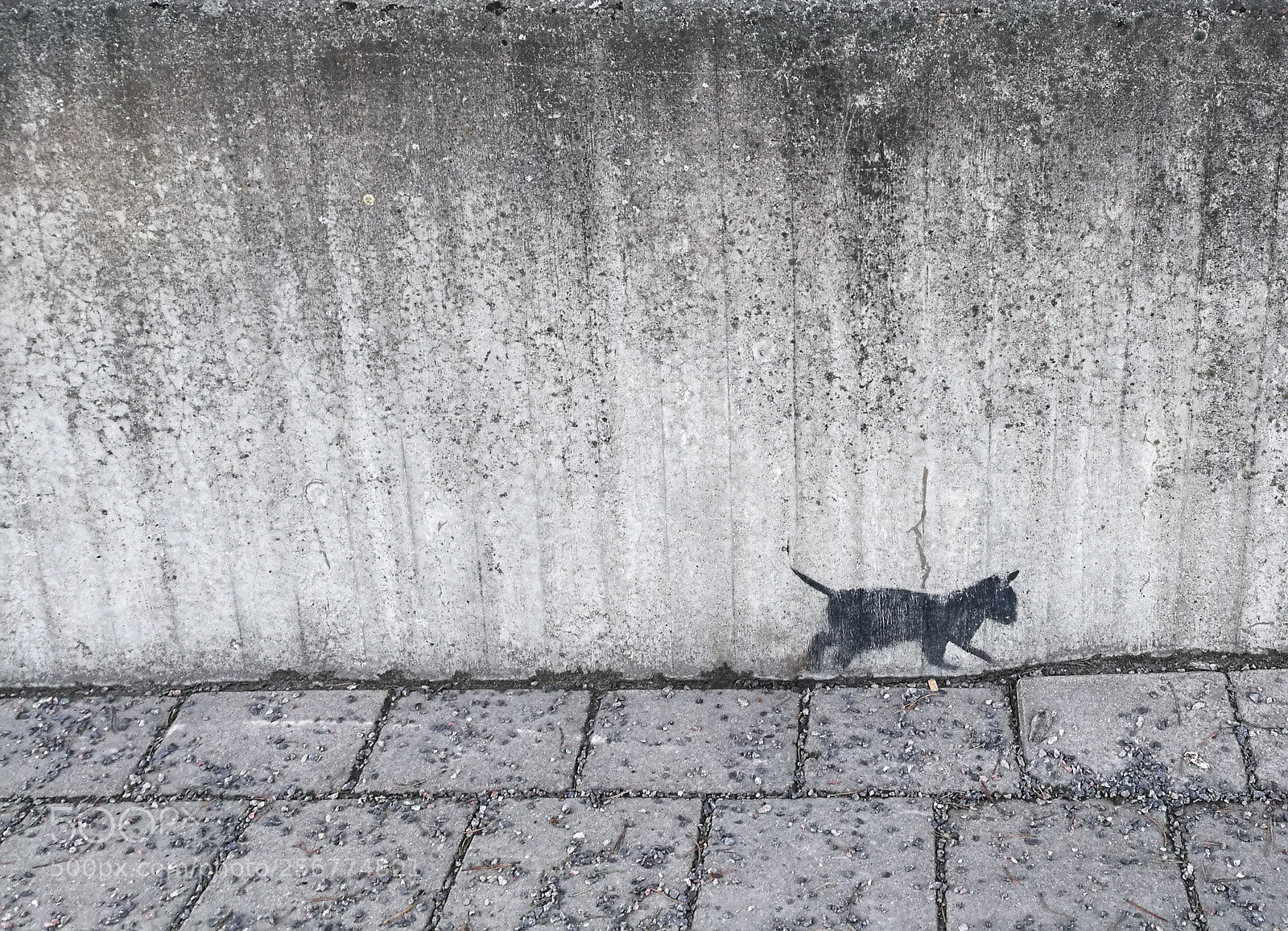 HUAWEI P9 Plus sample photo. Kitty as a nuclear photography