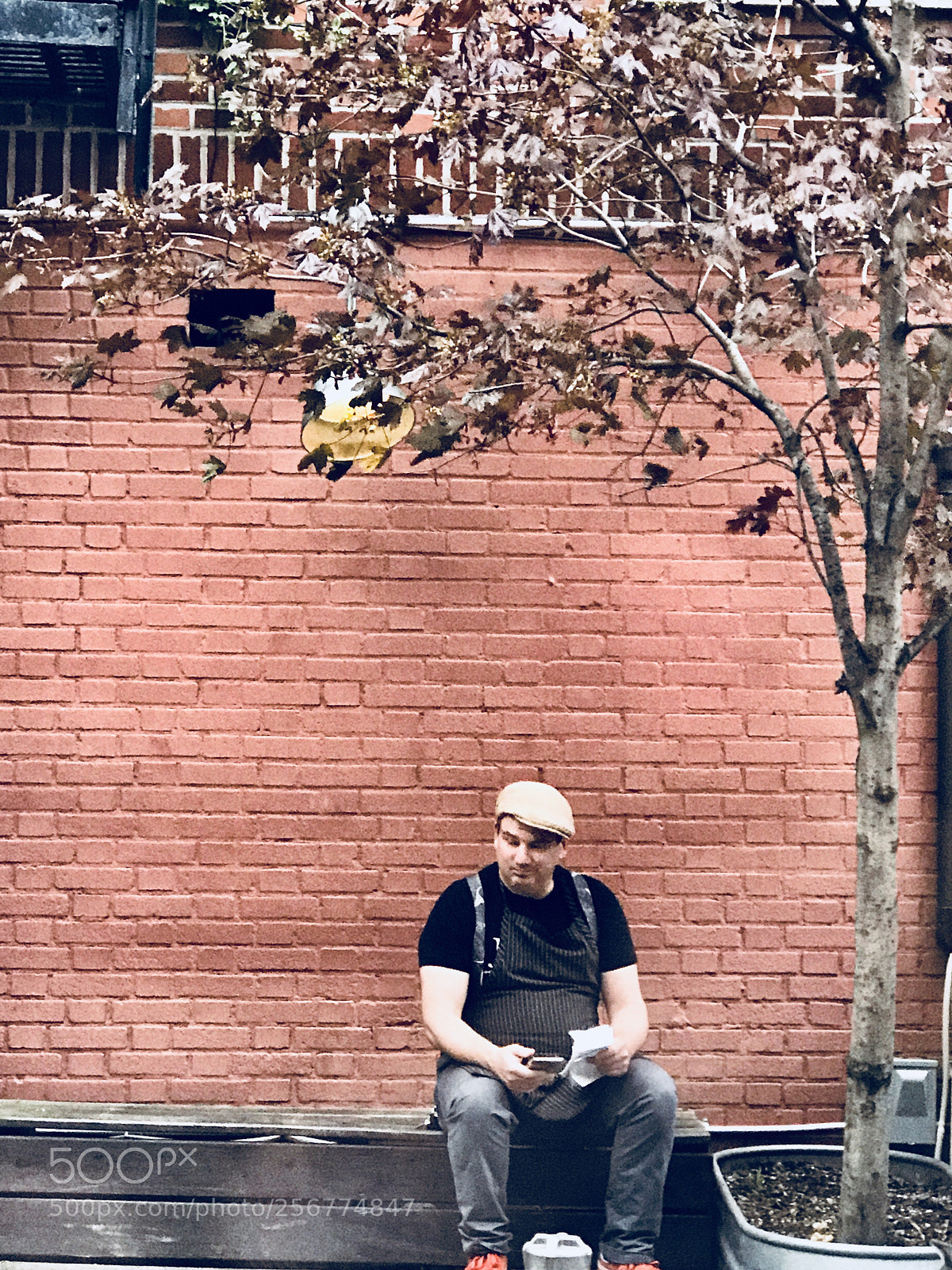 Apple iPhone 7 Plus sample photo. Untitled photography