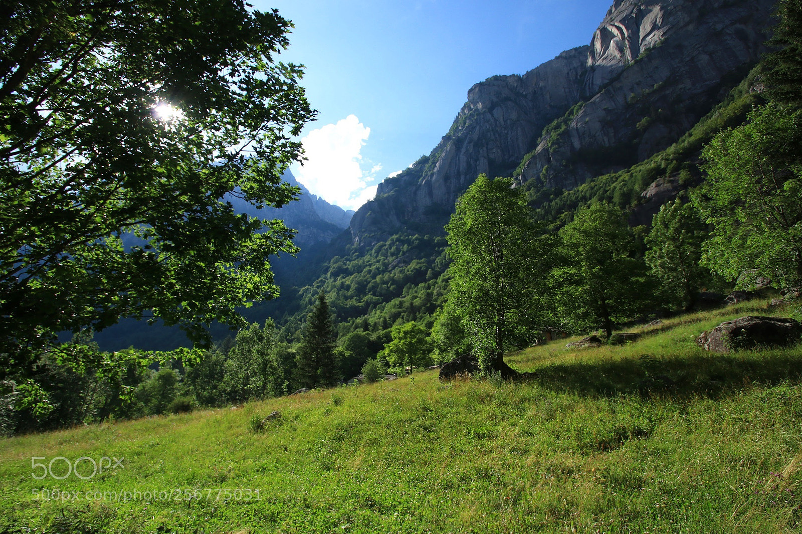Canon EOS 80D sample photo. Val di mello, italian photography