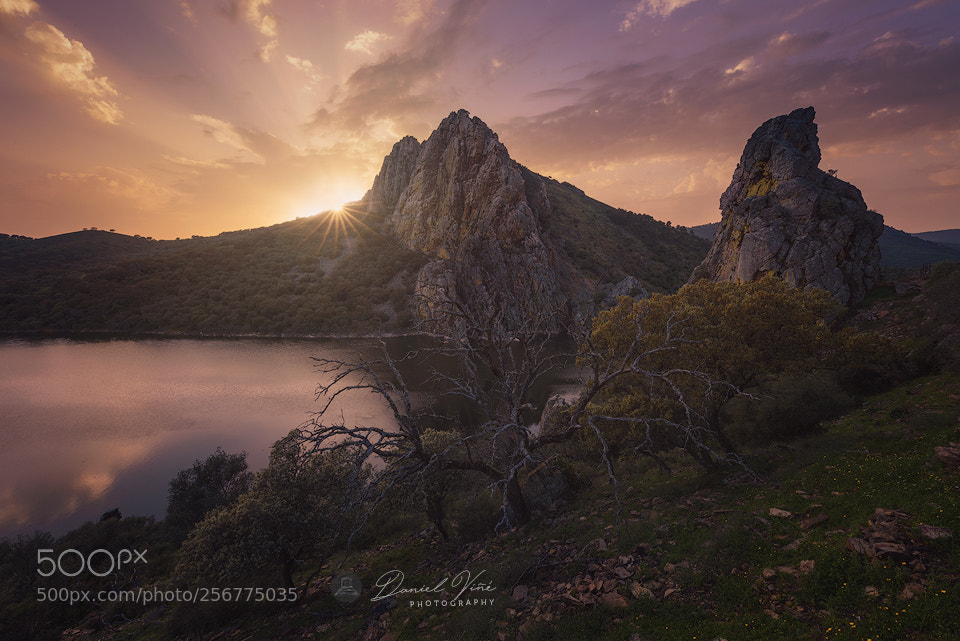 Nikon D610 sample photo. Monfrague national park in photography