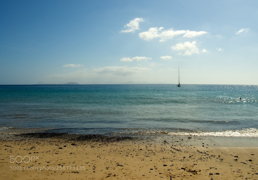 Nikon D60 sample photo. Version photography