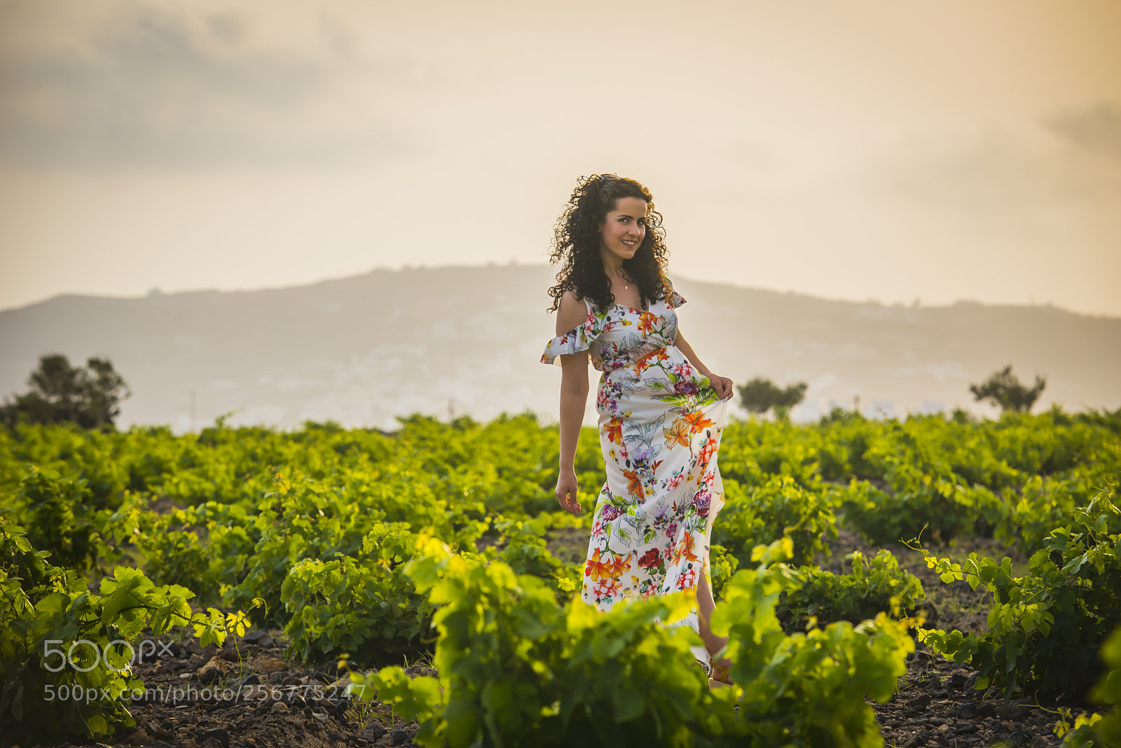 Nikon D610 sample photo. ... photography