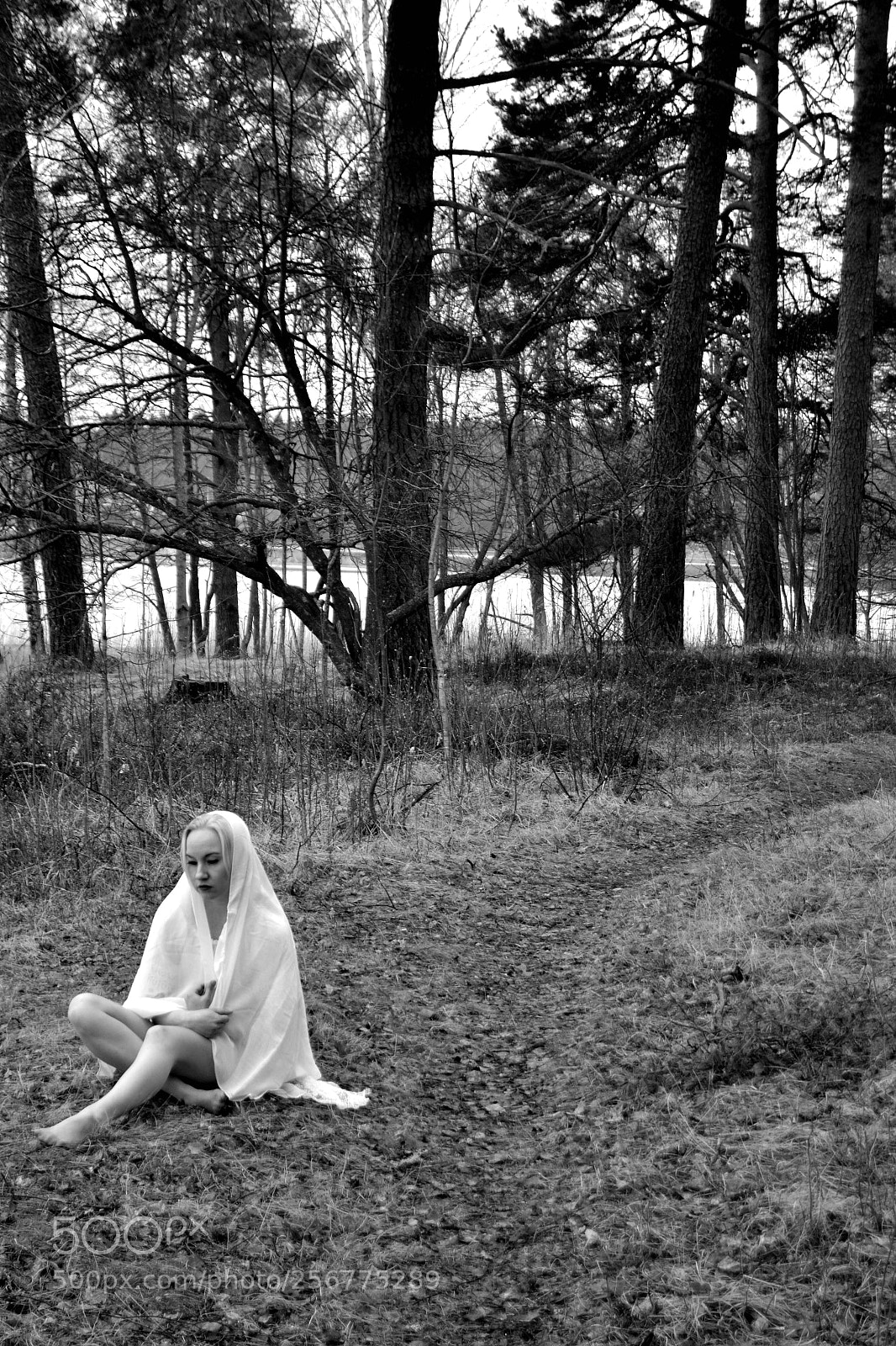 Nikon D3100 sample photo. While in finland photography