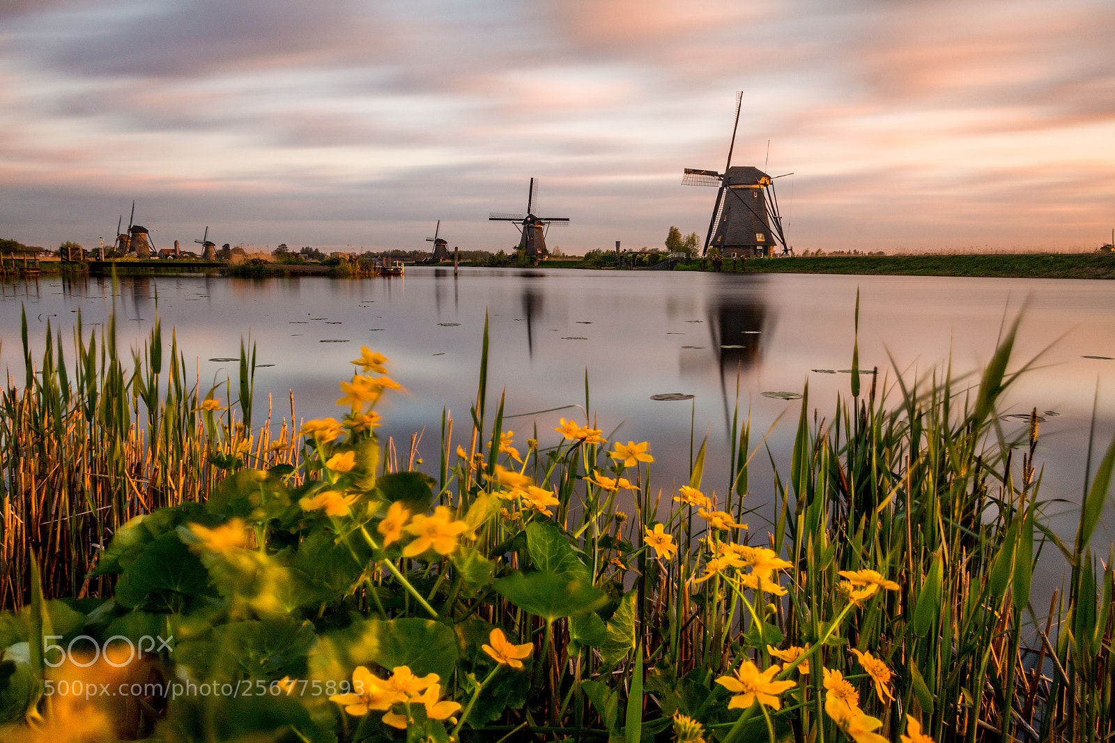 Canon EOS 70D sample photo. Sunrise in kinderdijk photography