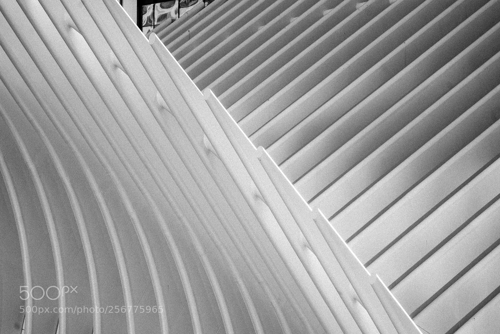 Sony a7S sample photo. Calatrava spreads his wings photography