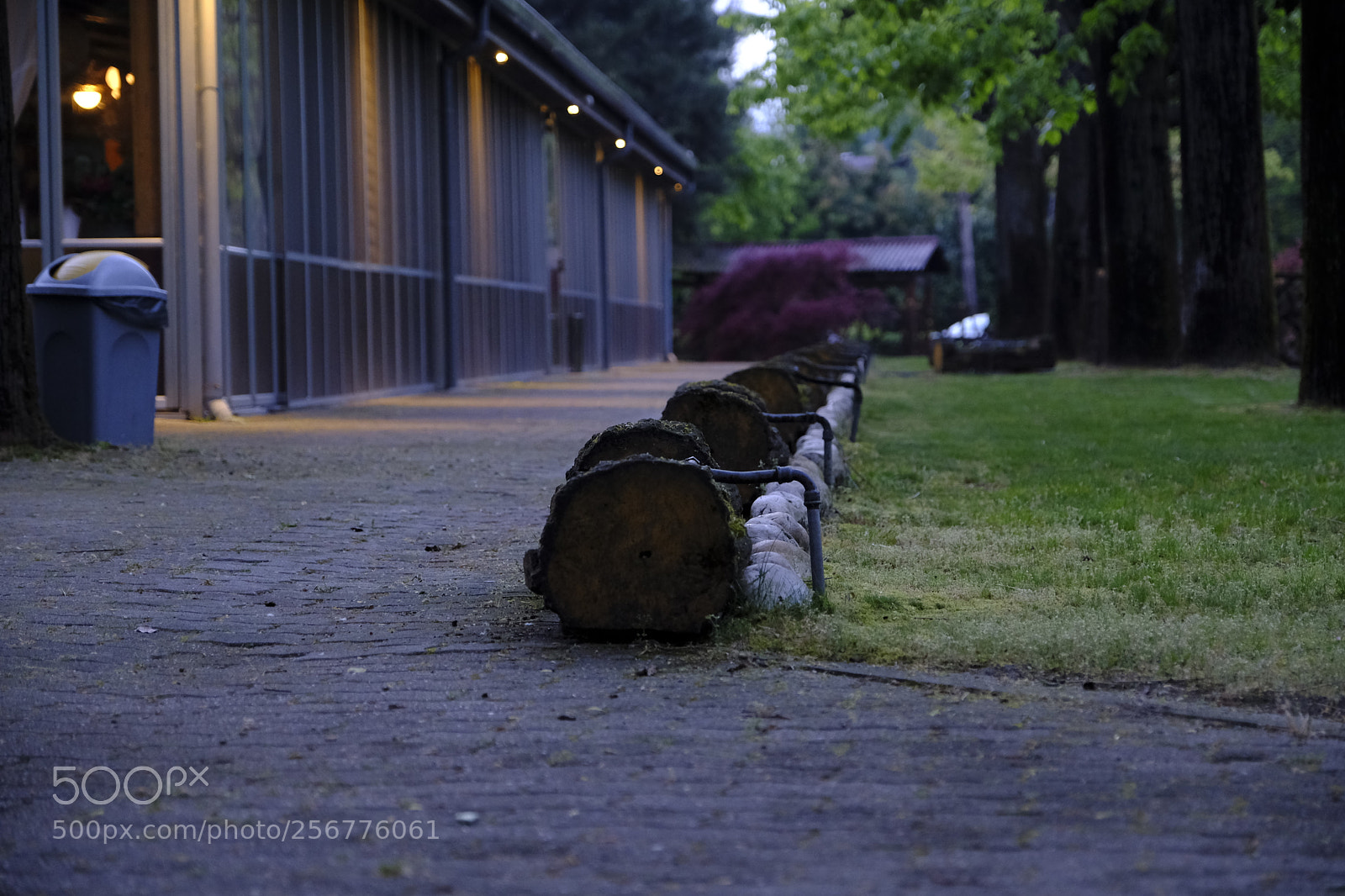 Fujifilm X-T2 sample photo. Untitled photography