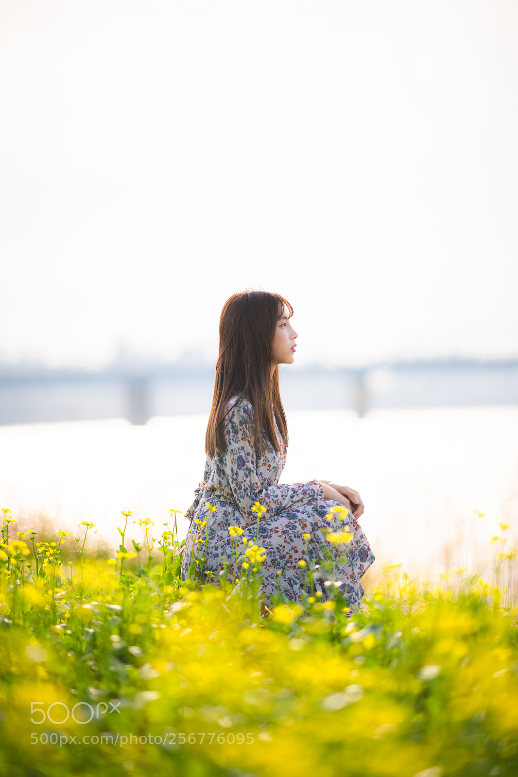 Nikon D850 sample photo. Rape flower photography