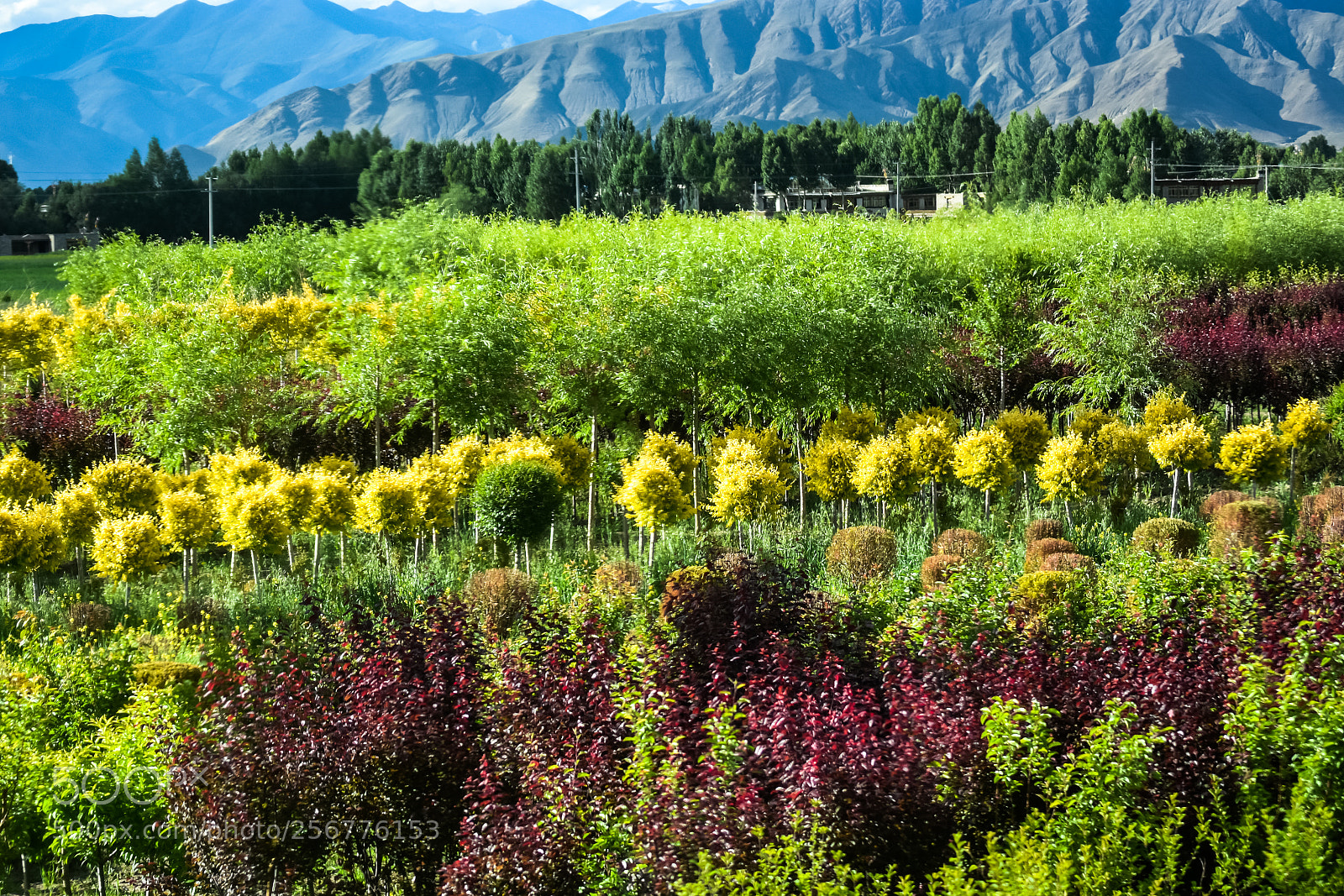 Nikon D7200 sample photo. On the road to photography