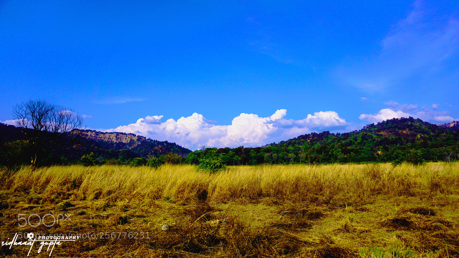 Sony a6000 sample photo. Landscape⛰ photography