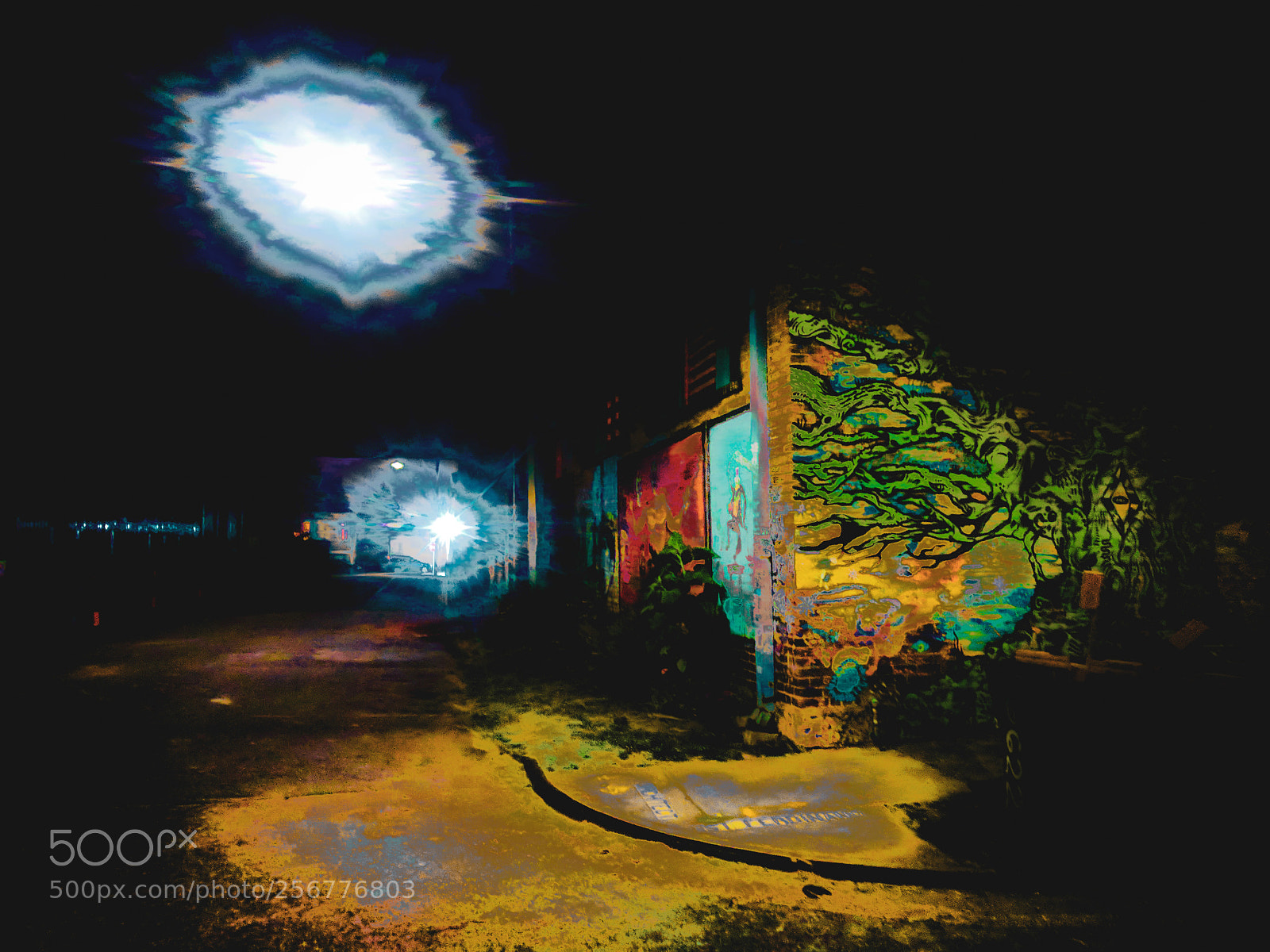 Google Pixel sample photo. Lucy photography