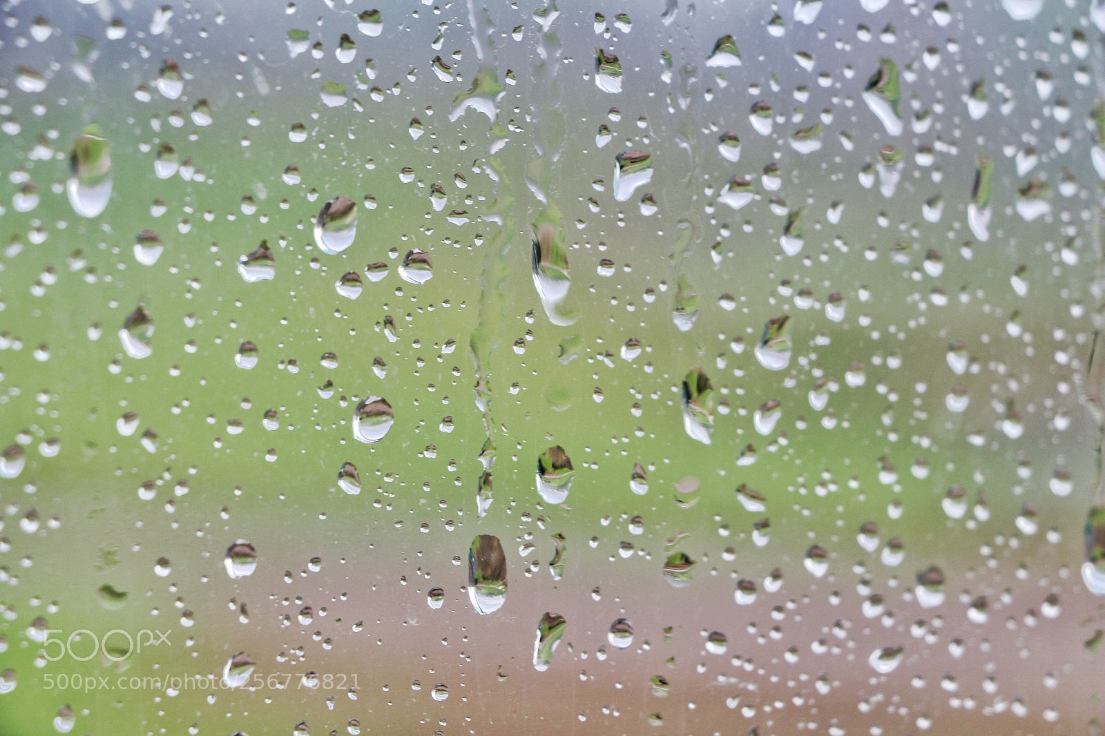 Canon EOS 700D (EOS Rebel T5i / EOS Kiss X7i) sample photo. Tears of nature photography