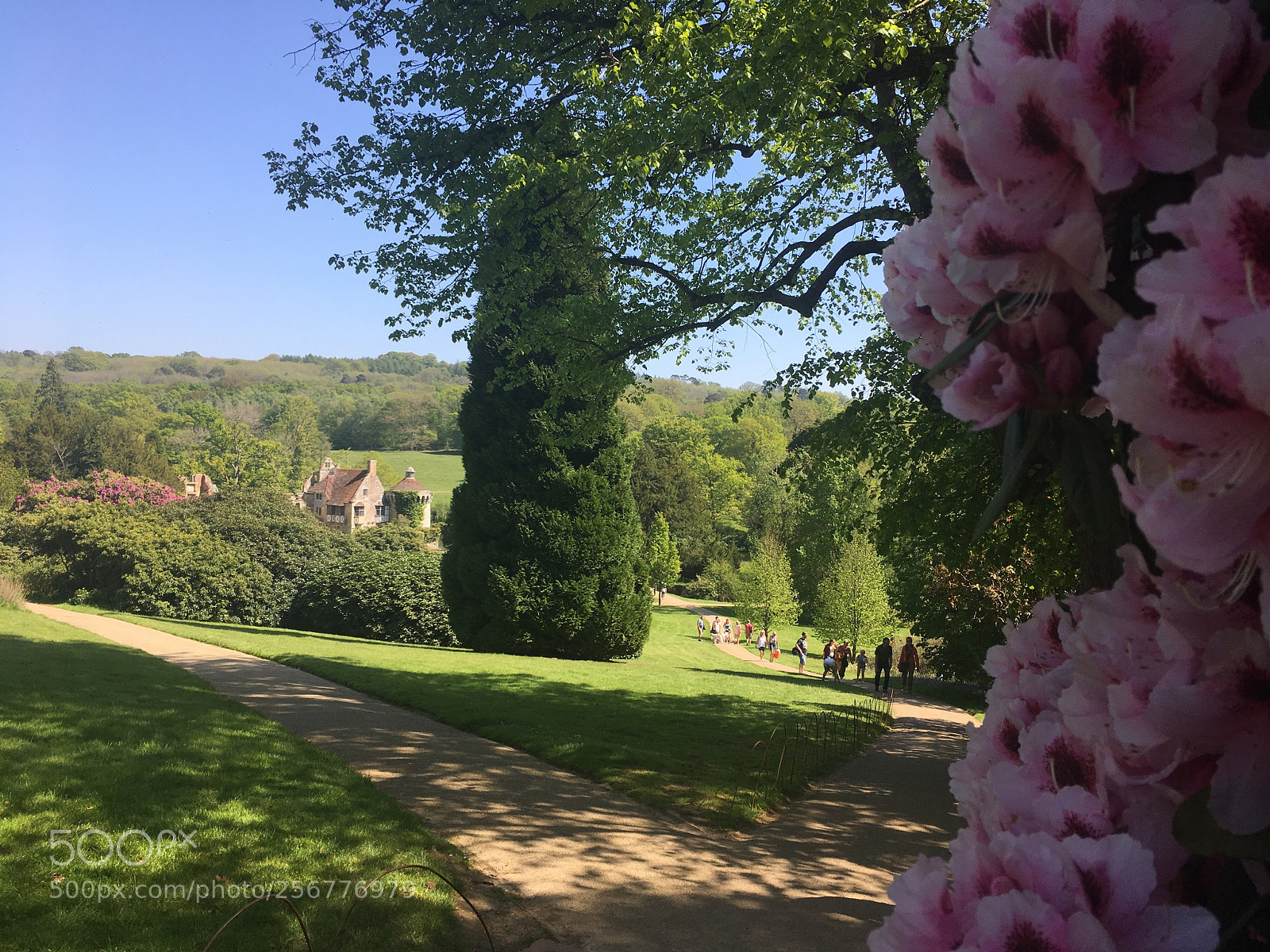 Apple iPhone SE sample photo. Scotney garden photography