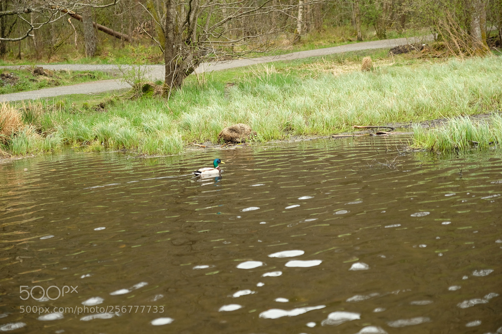 Fujifilm X-T2 sample photo. Dscf photography