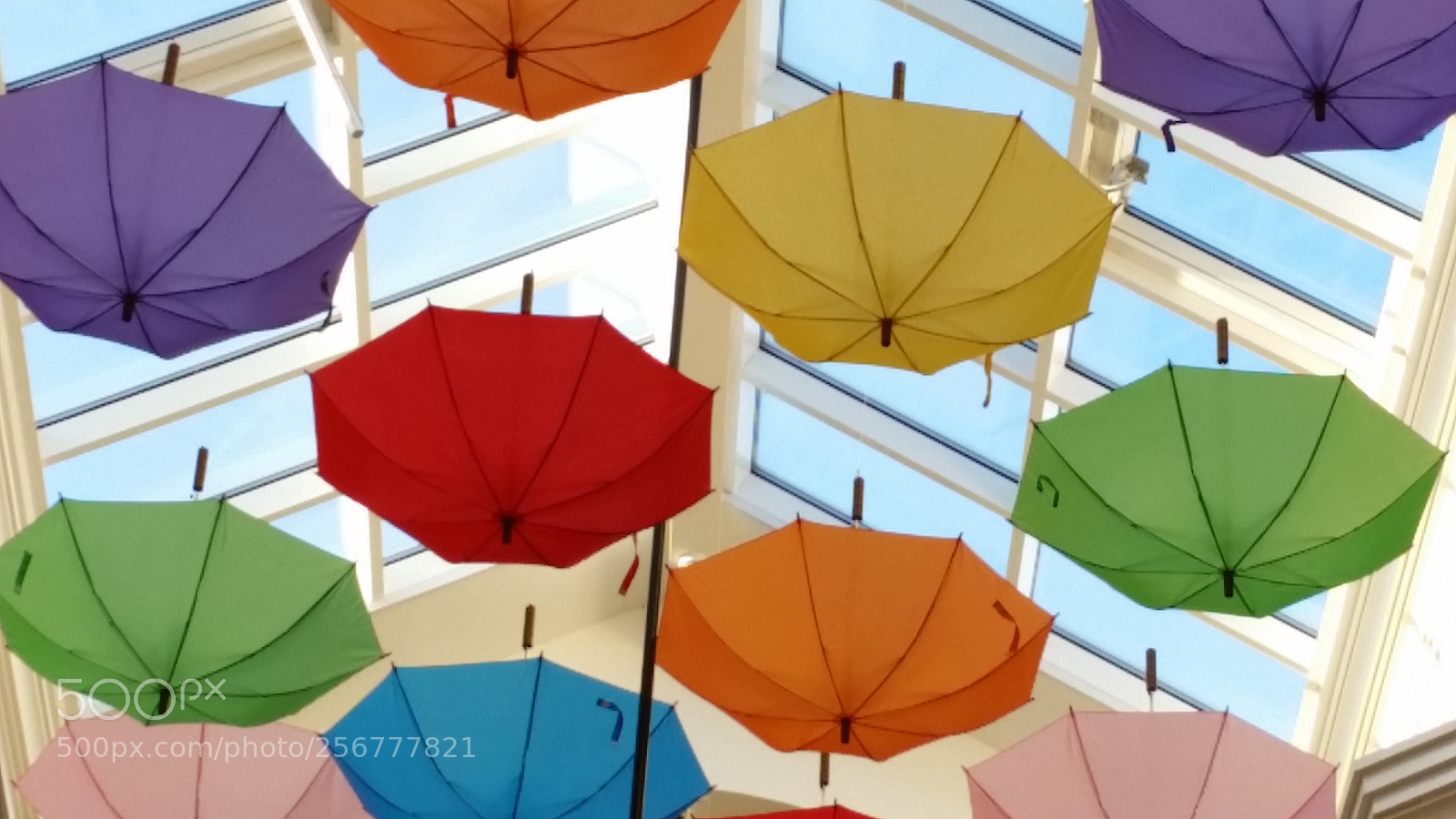 Samsung Galaxy S5 sample photo. Umbrella shower photography