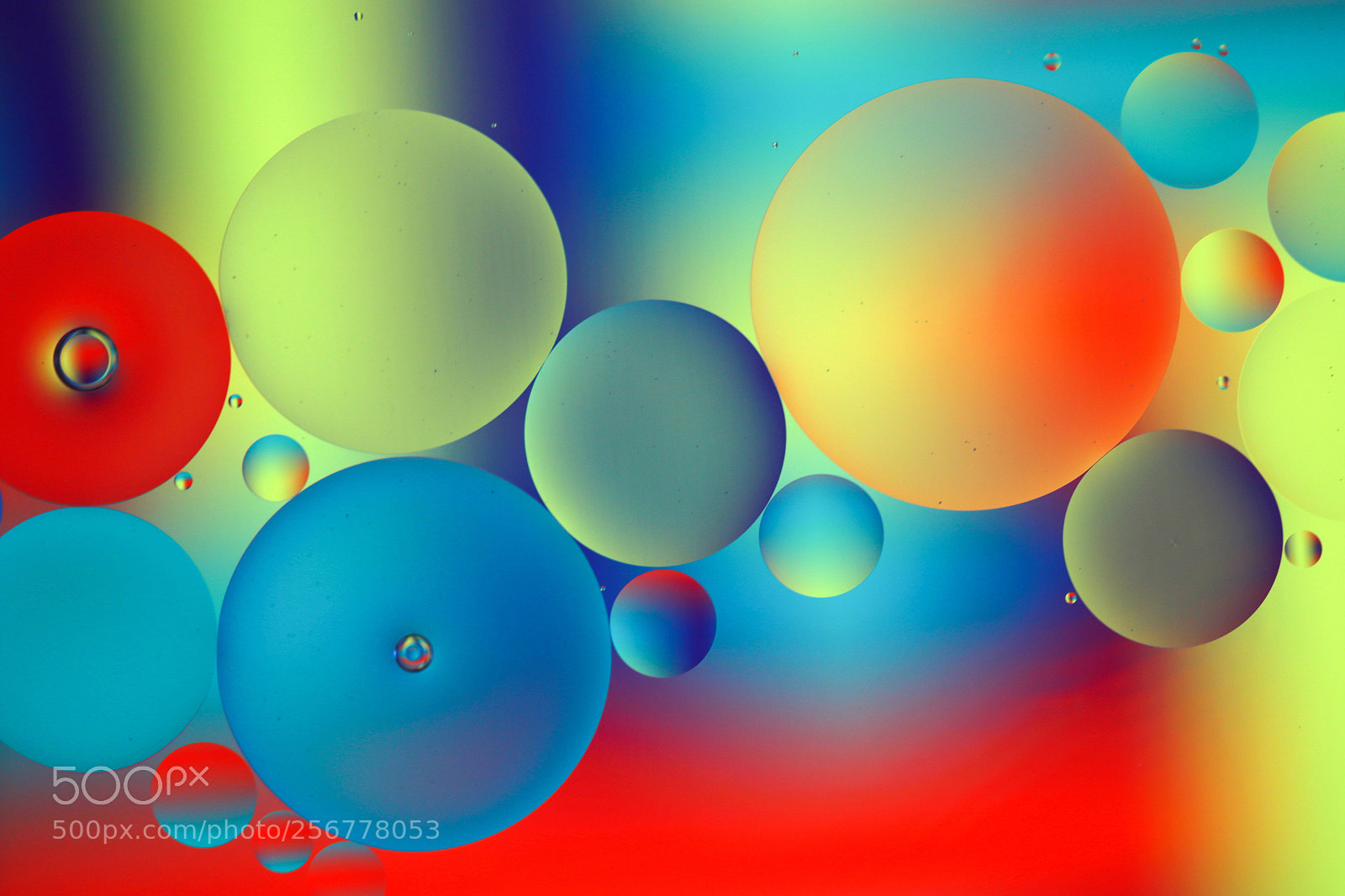 Canon EOS 6D sample photo. Oil and water photography