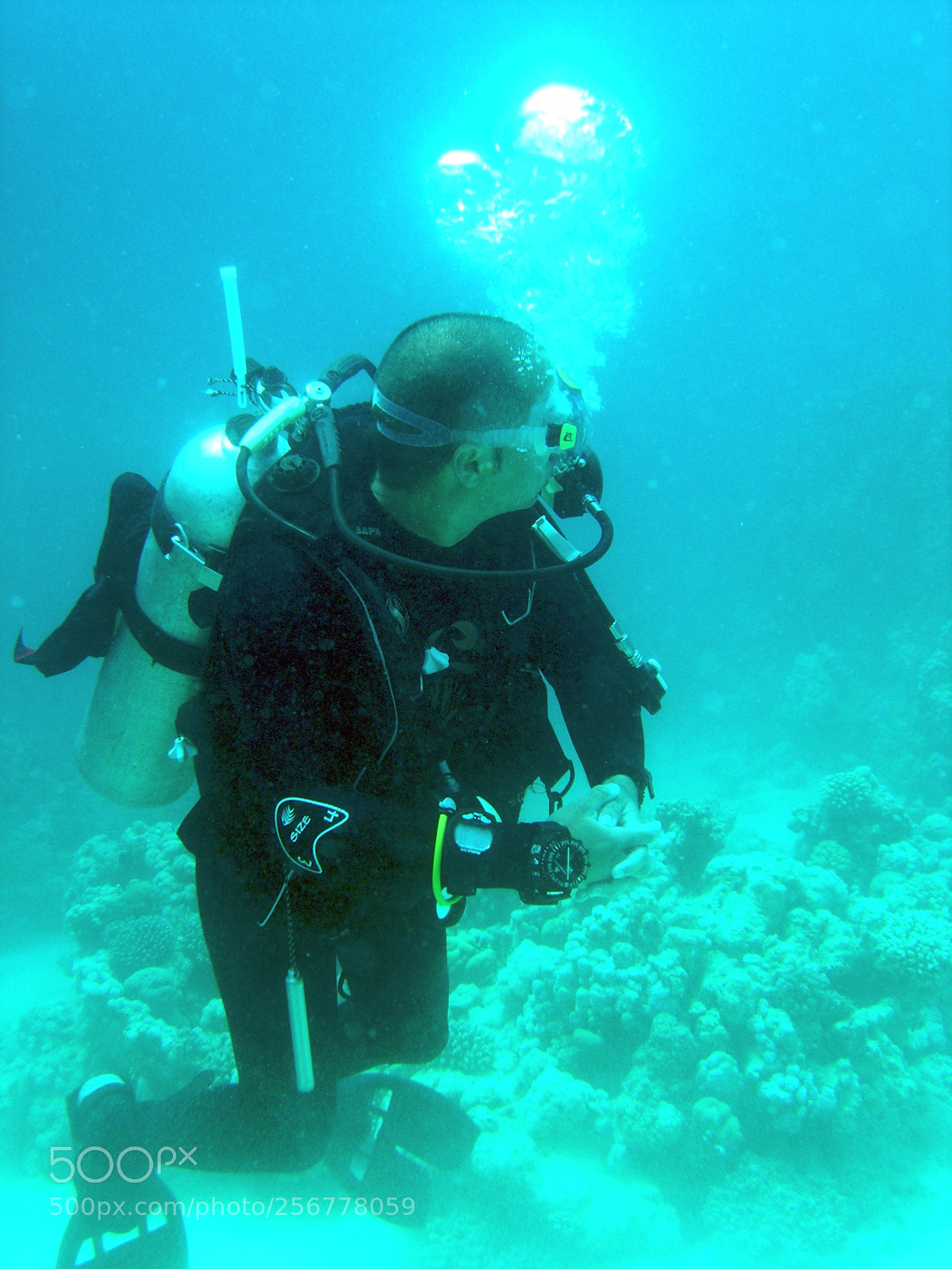 Nikon E5900 sample photo. Marco il divemaster photography