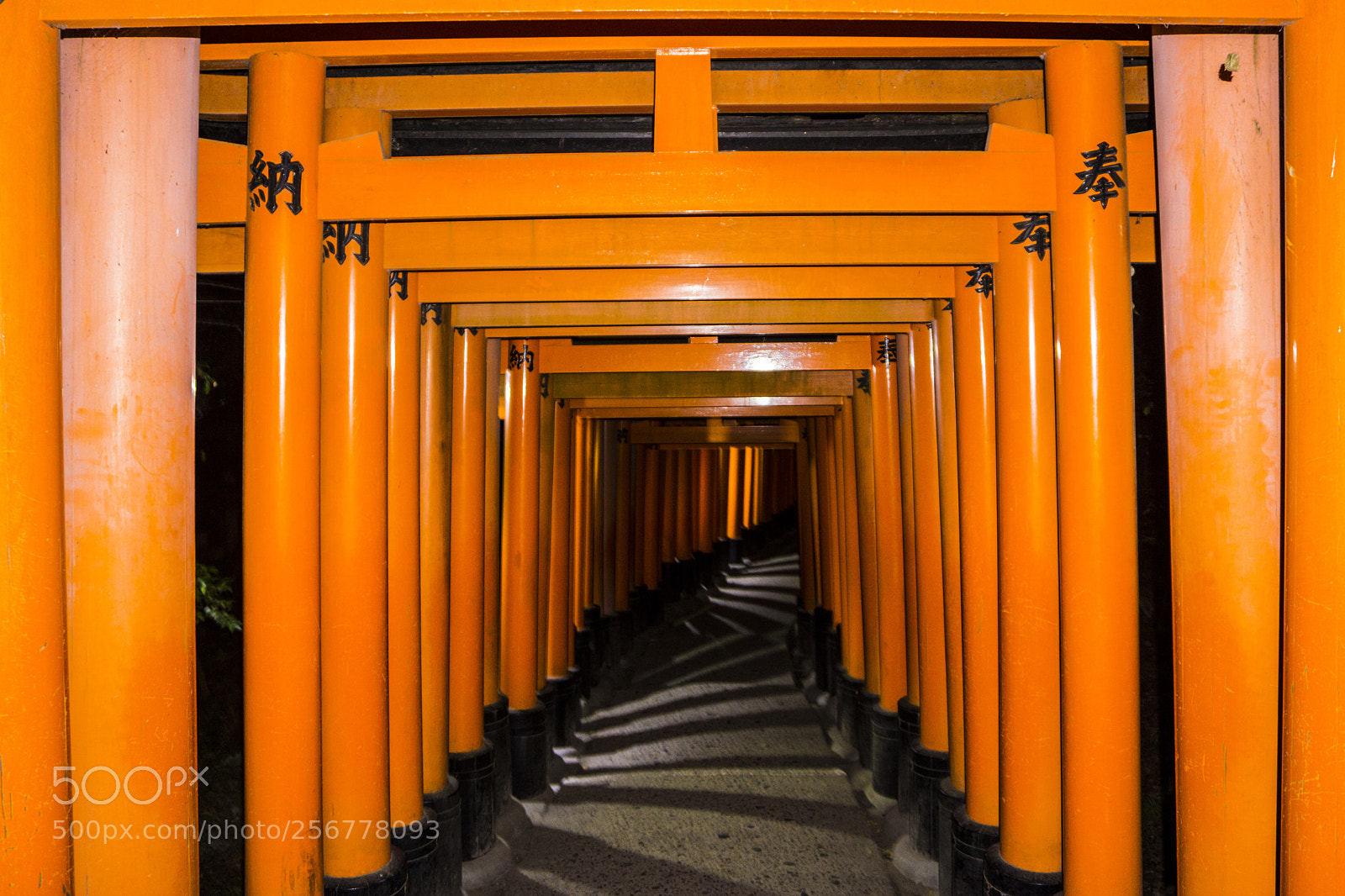Sony a6000 sample photo. Torii's shadow photography
