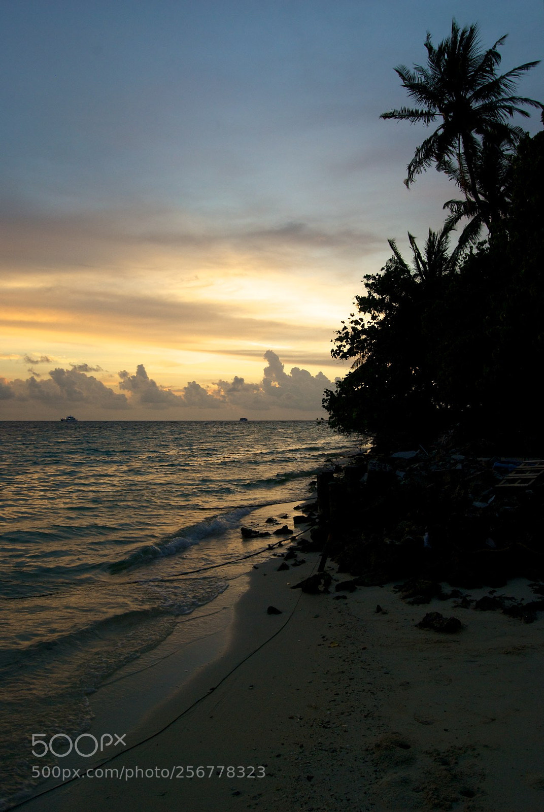 Nikon D60 sample photo. Version photography