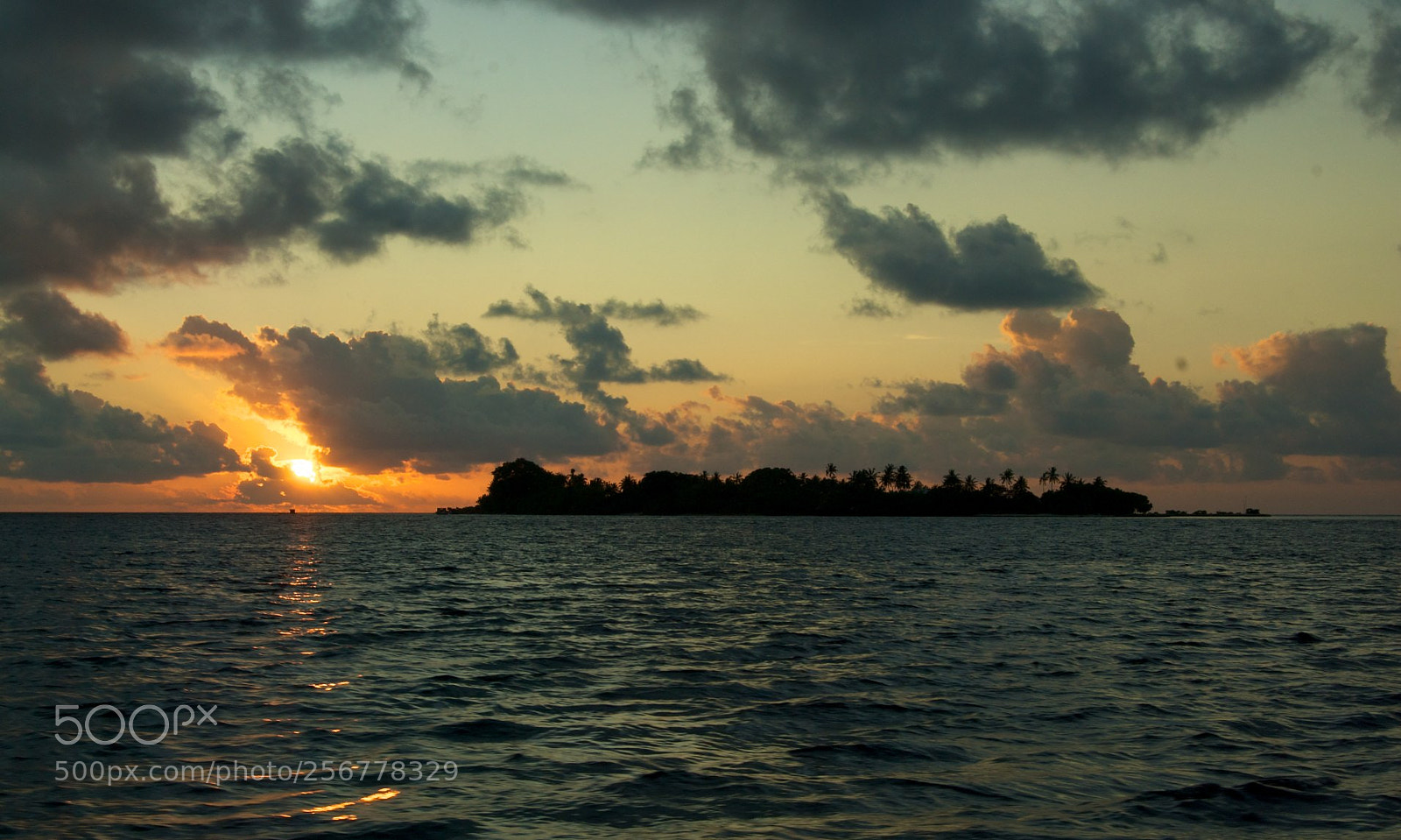 Nikon D60 sample photo. Version photography