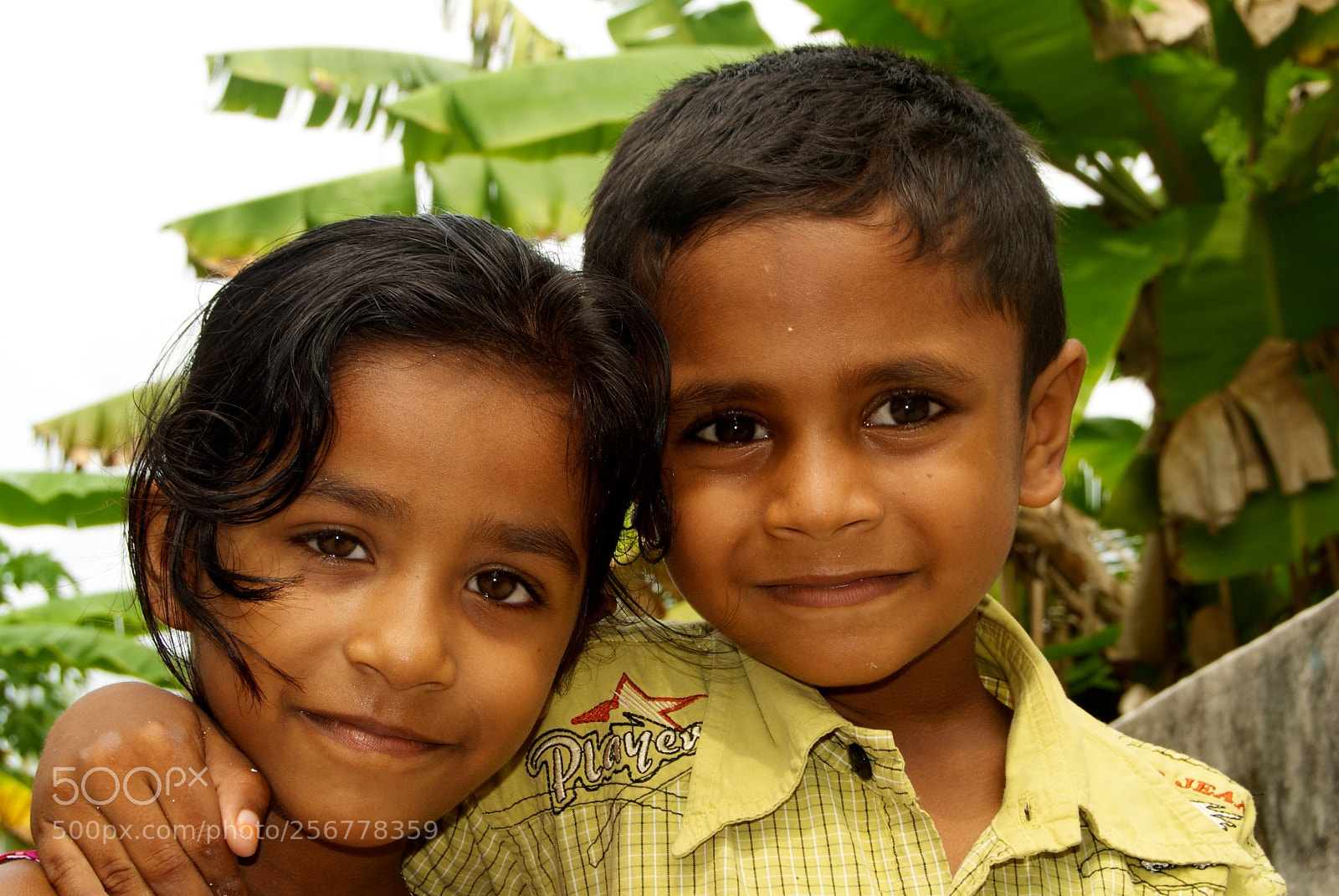 Nikon D60 sample photo. Version photography