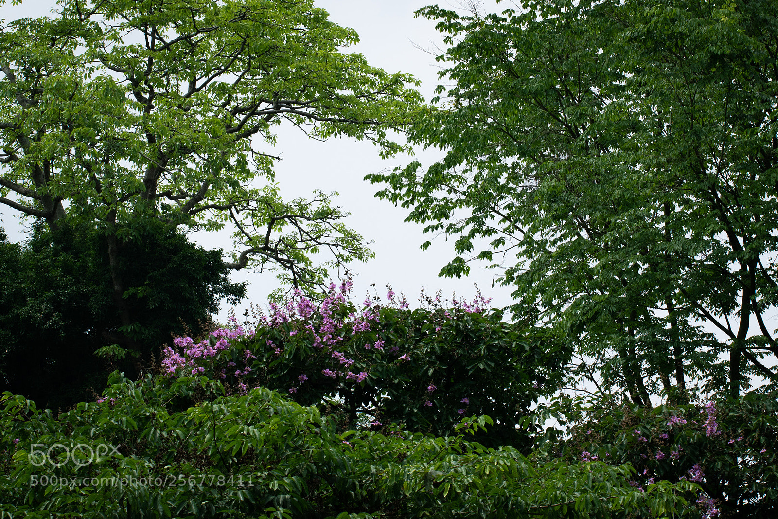 Canon EOS 7D Mark II sample photo. Hanoi photography