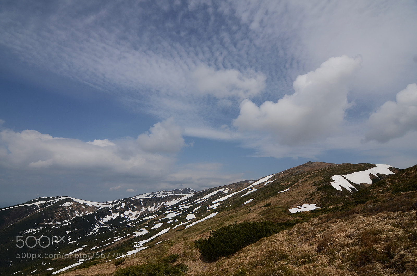 Nikon D7000 sample photo. The new spring photography