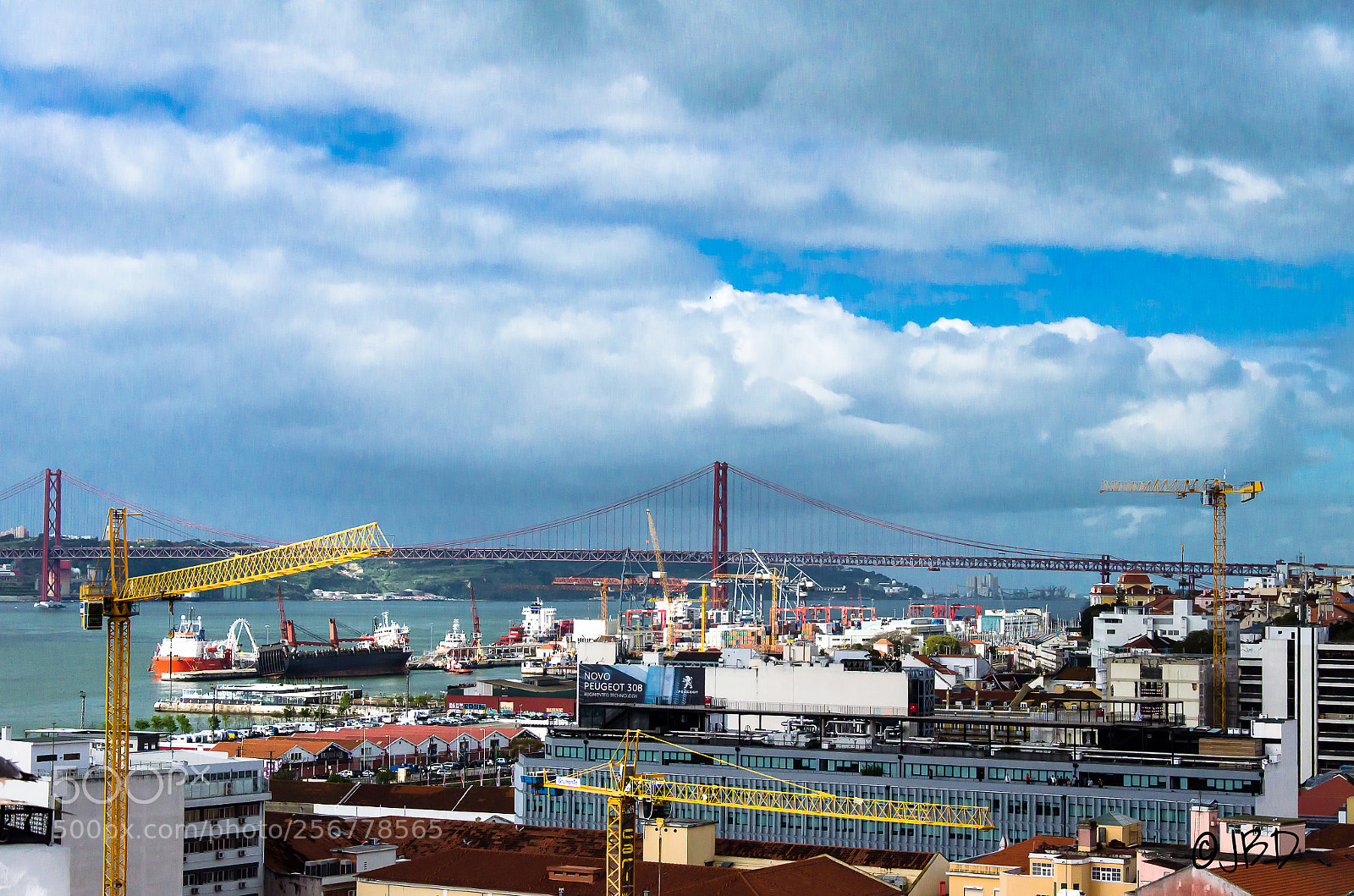 Nikon D5100 sample photo. Cranes photography