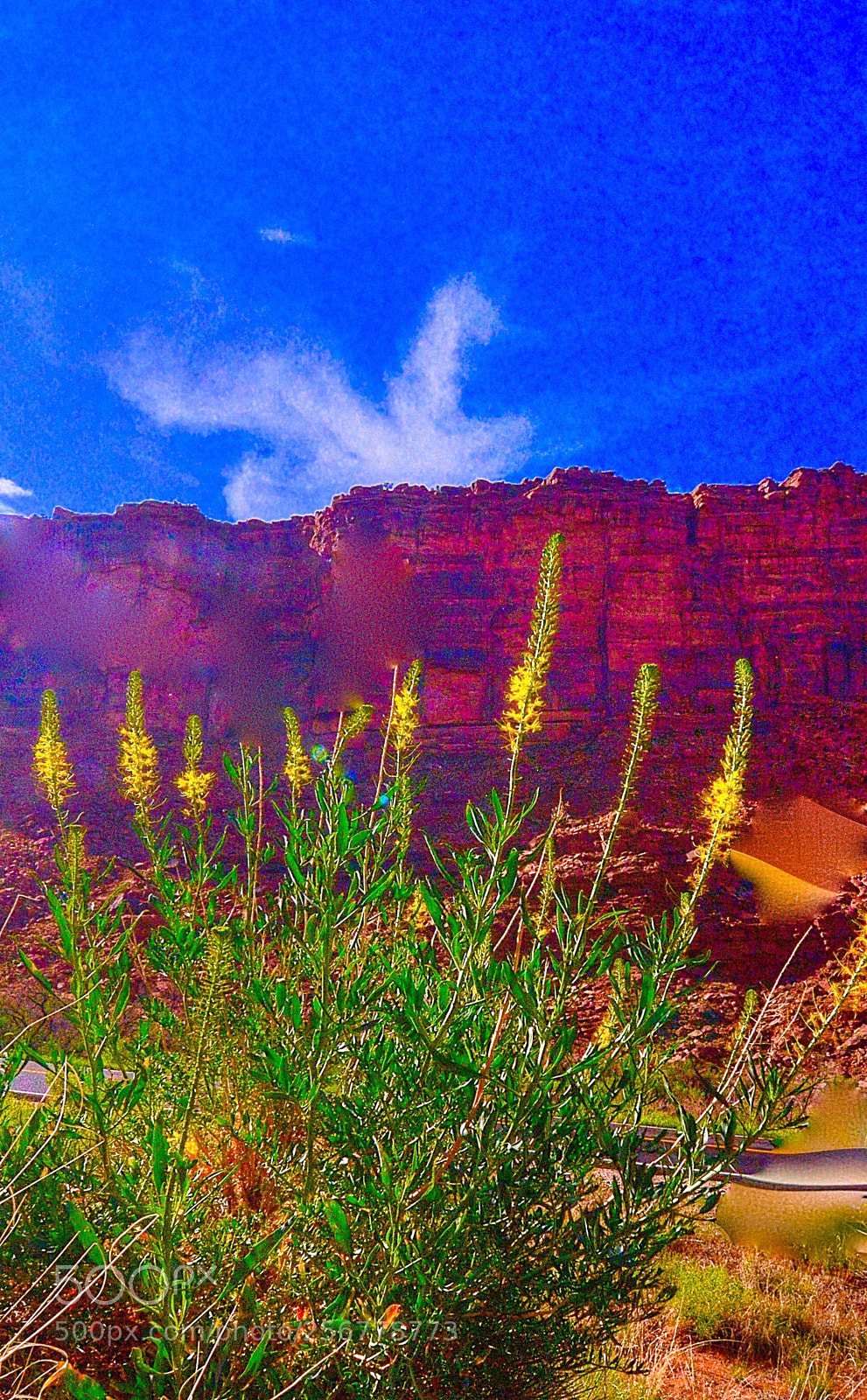 Nikon D610 sample photo. Gold canyon photography