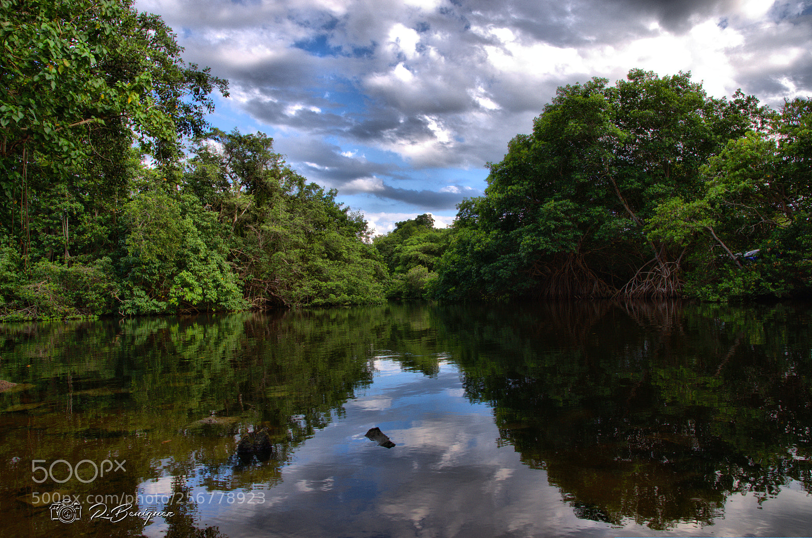Nikon D5100 sample photo. Arecibo, puerto rico photography