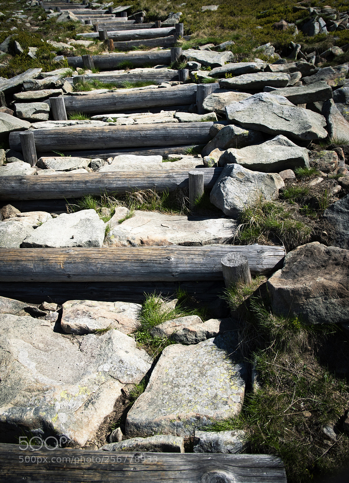 Nikon D5500 sample photo. Stone and wooden stairs photography
